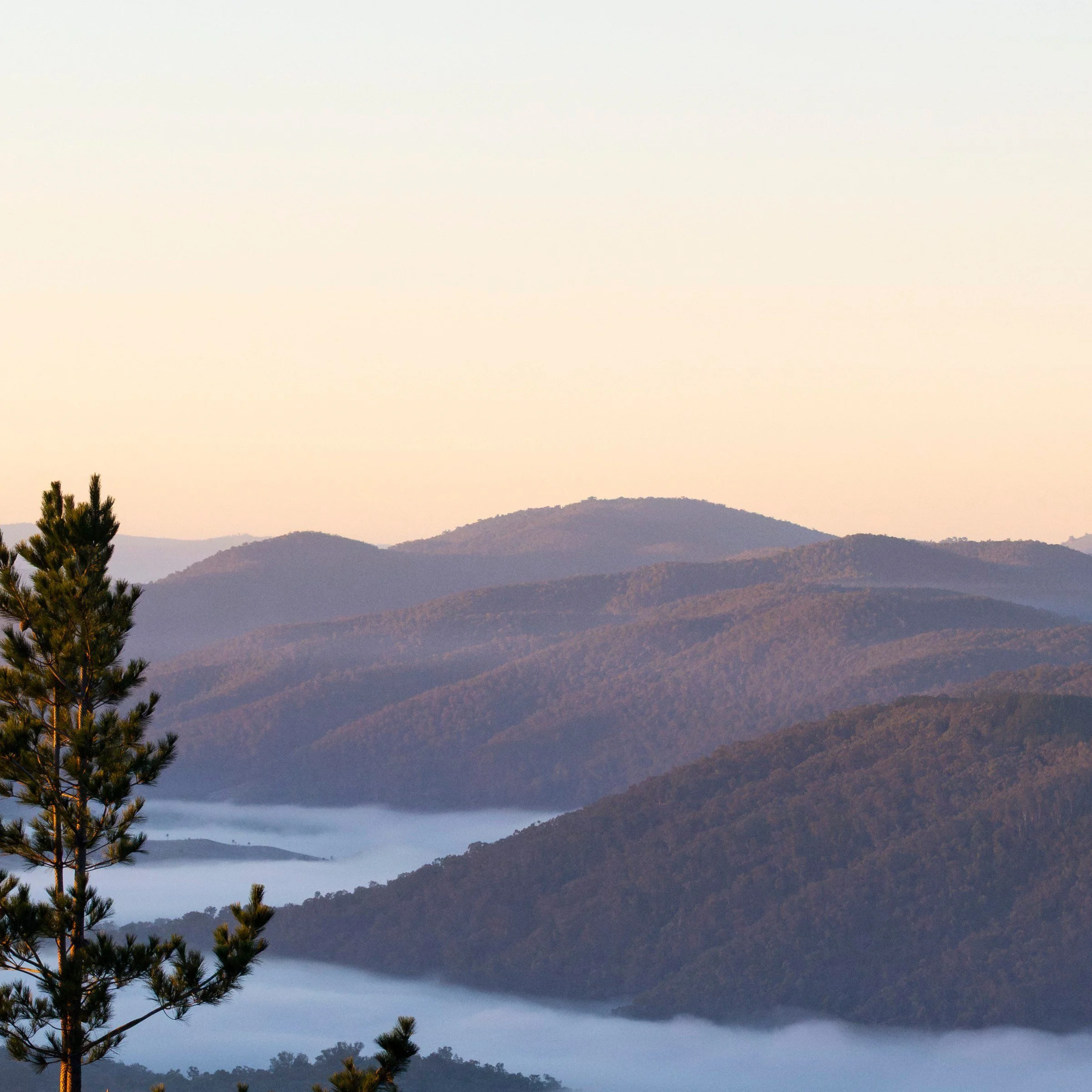 Old Macdonald — Canberra travel photography print, zoomed top left corner detail, by Matthew Sherren