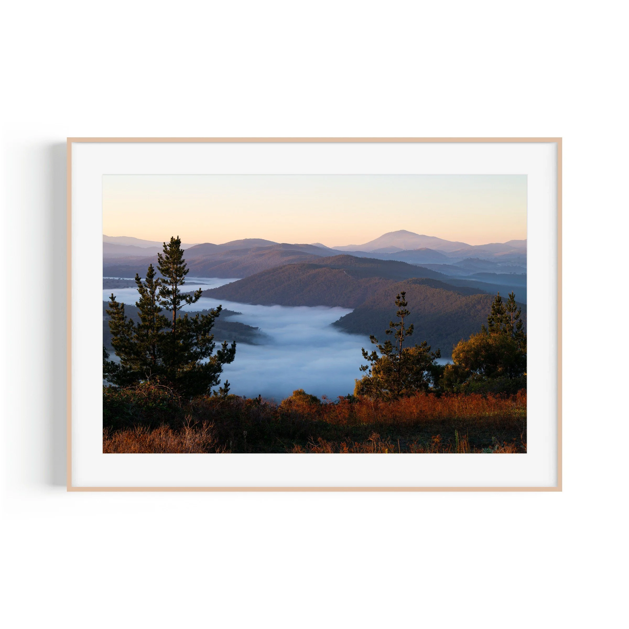 Old Macdonald Mount Macdonald Cotter Nature Reserve Canberra landscape print in raw oak frame by Matthew Sherren