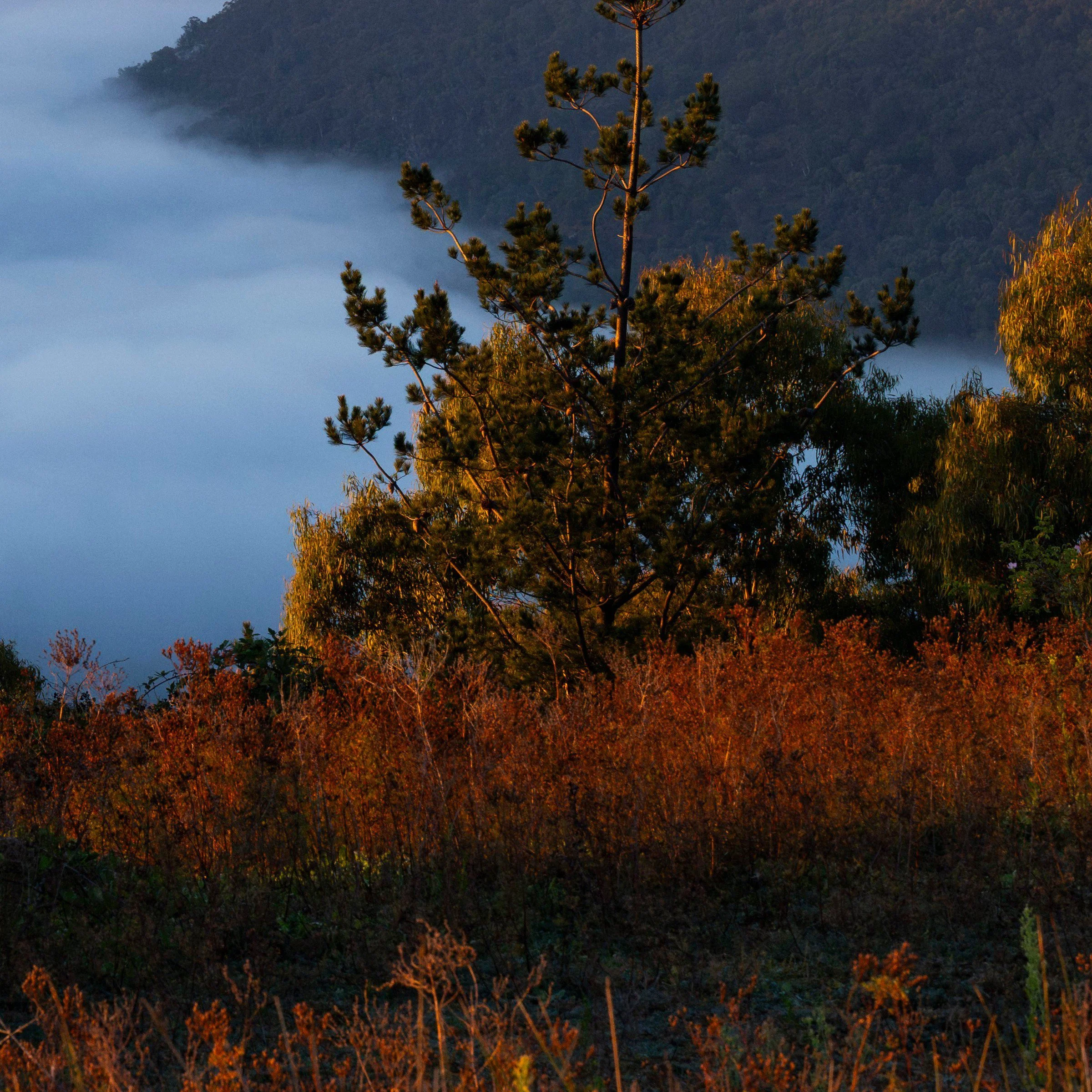 Old Macdonald — Canberra travel photography print, zoomed bottom right corner detail, by Matthew Sherren