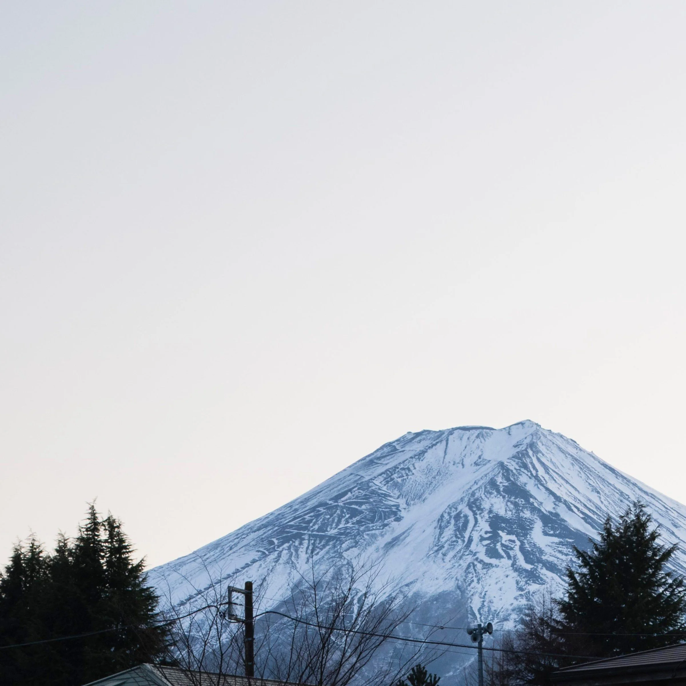 Snow-capped Mount Fuji rising above the treeline, Fujiyoshida, Japan