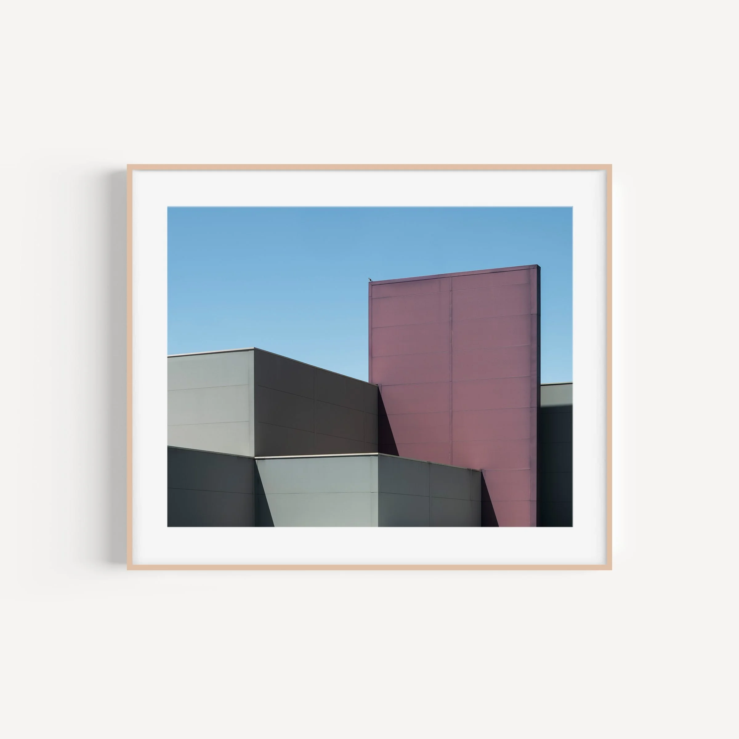 birds-aren't-real-canberra-minimalist-print-matthew-sherren_5x4-brown-frame-with-matte.jpg