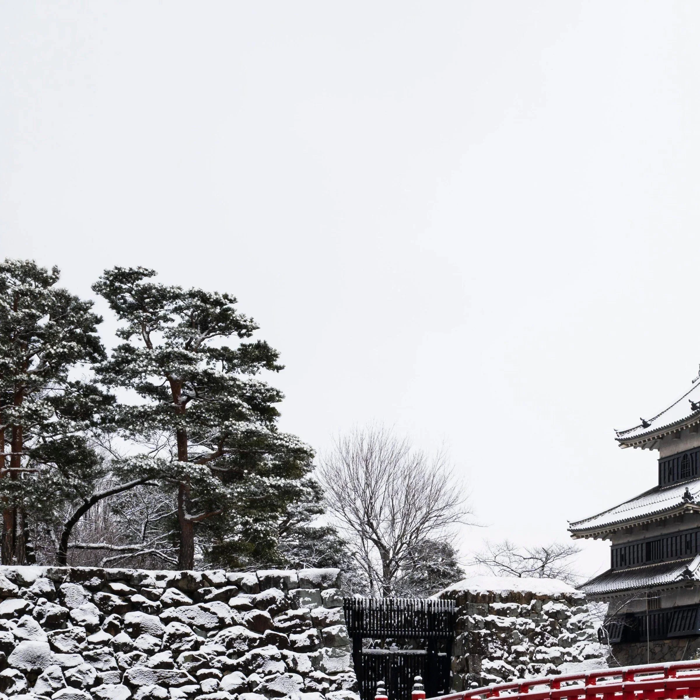 Close-up of Matsumoto Castle's stone base wall and snow-covered pine trees, Nagano Prefecture, Japan