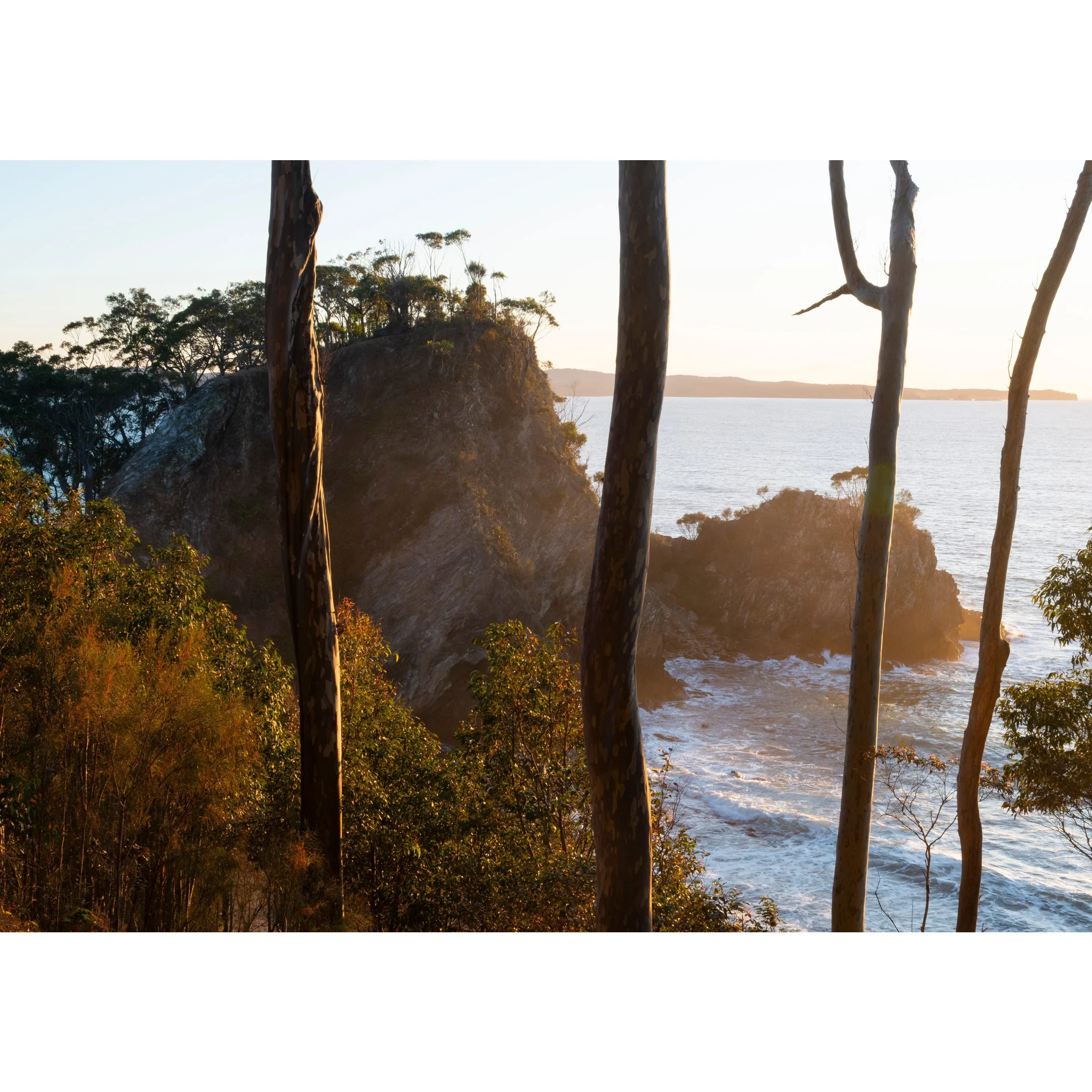Divers Lilli Pilli Surf Beach surfboards ocean waves photography print by Matthew Sherren