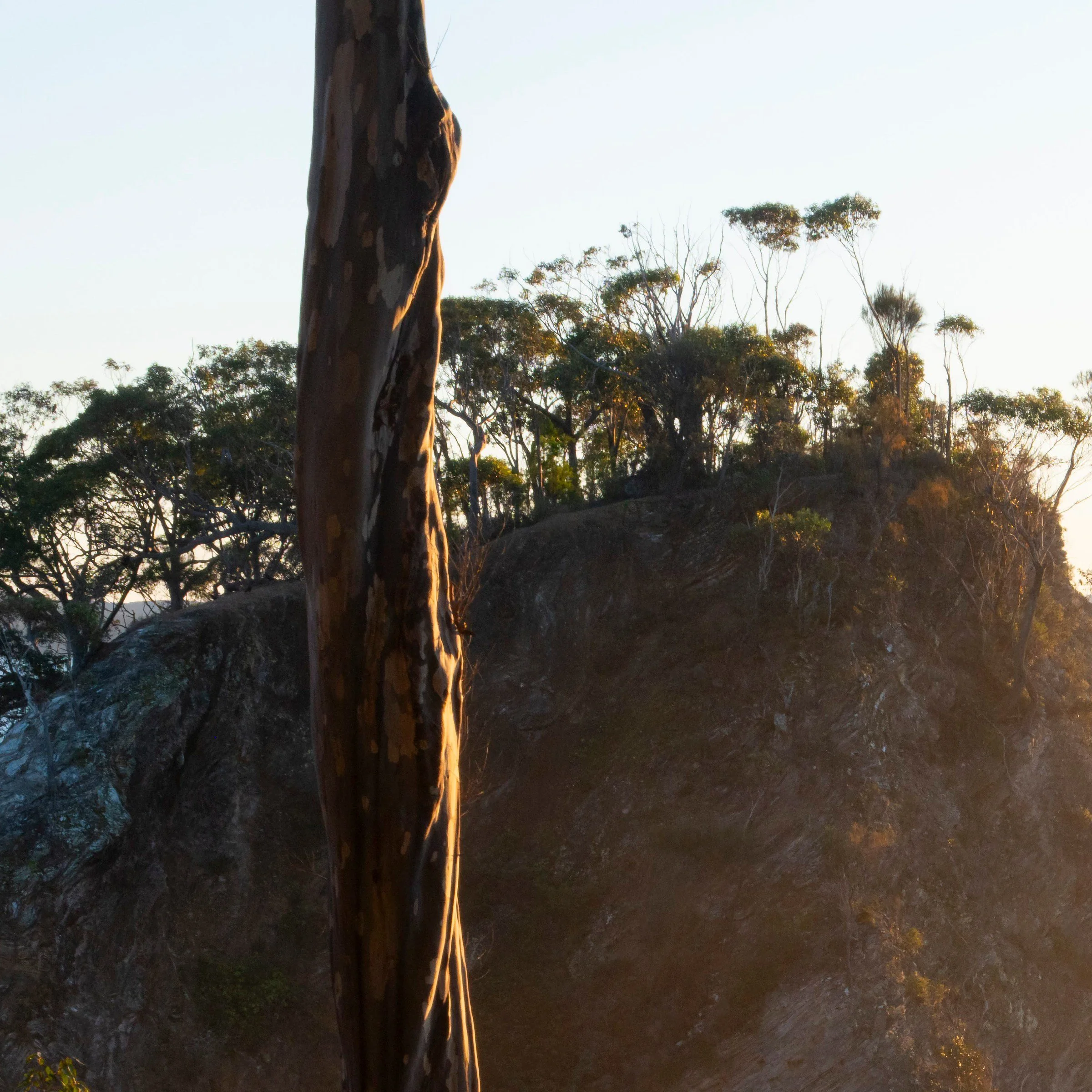 Divers print detail close-up top left corner New South Wales travel photography by Matthew Sherren