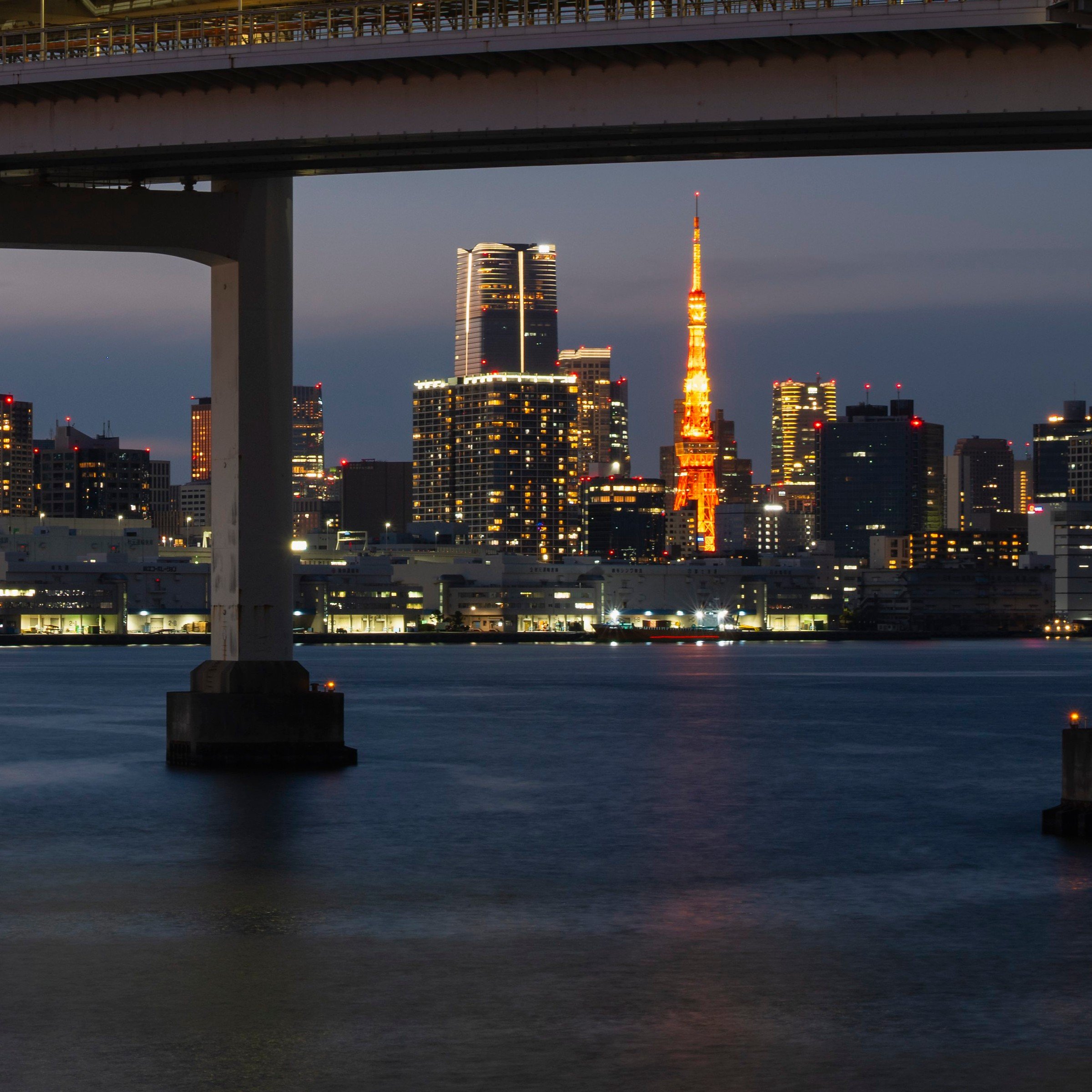 Bottom right zoom detail of the Rainbow Road print, Tokyo Tower and city lights across the bay, Odaiba, Tokyo, Japan