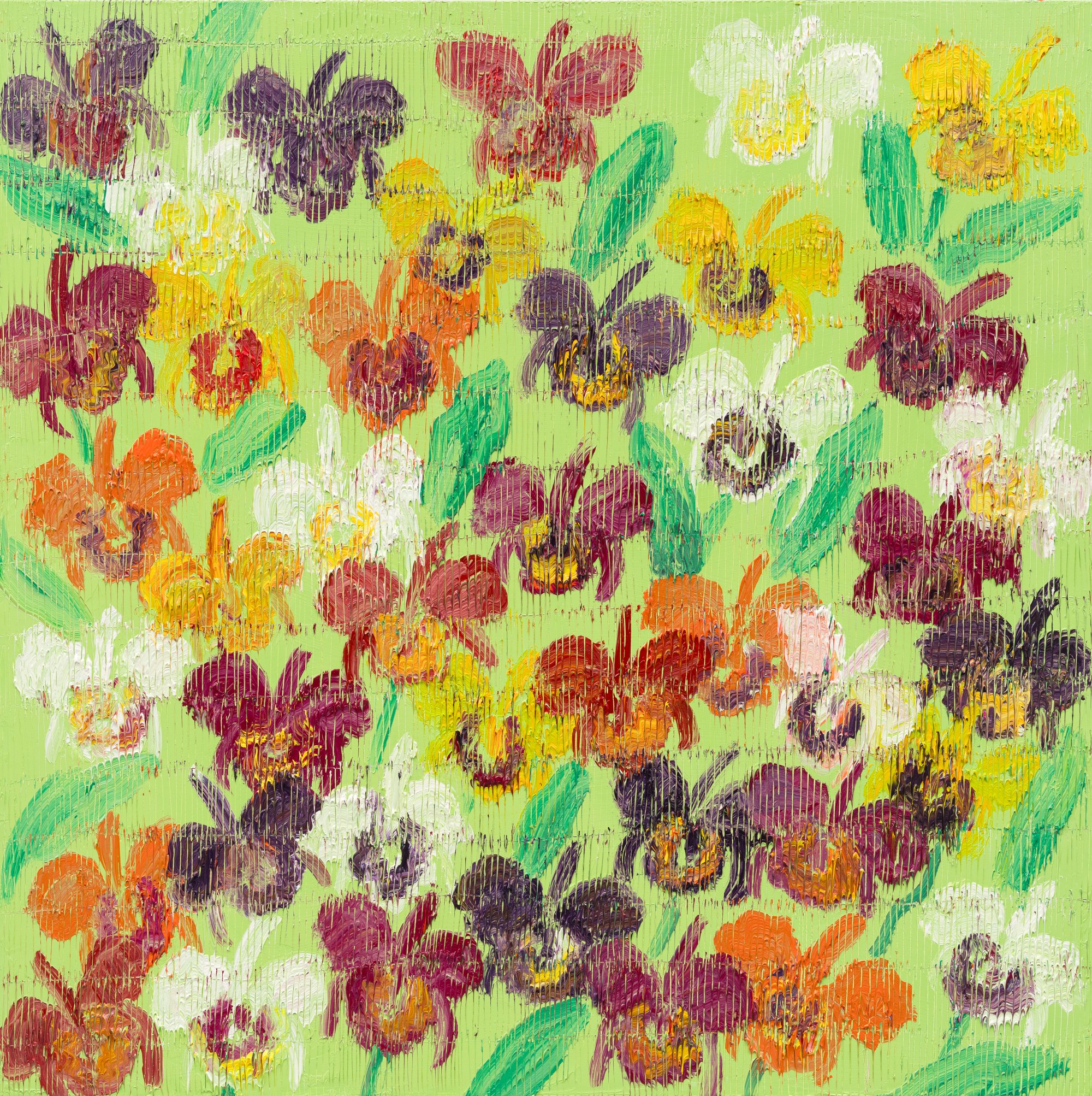 "Catelayas Green Field" 2026, Oil on Canvas, 48 x 48 inches