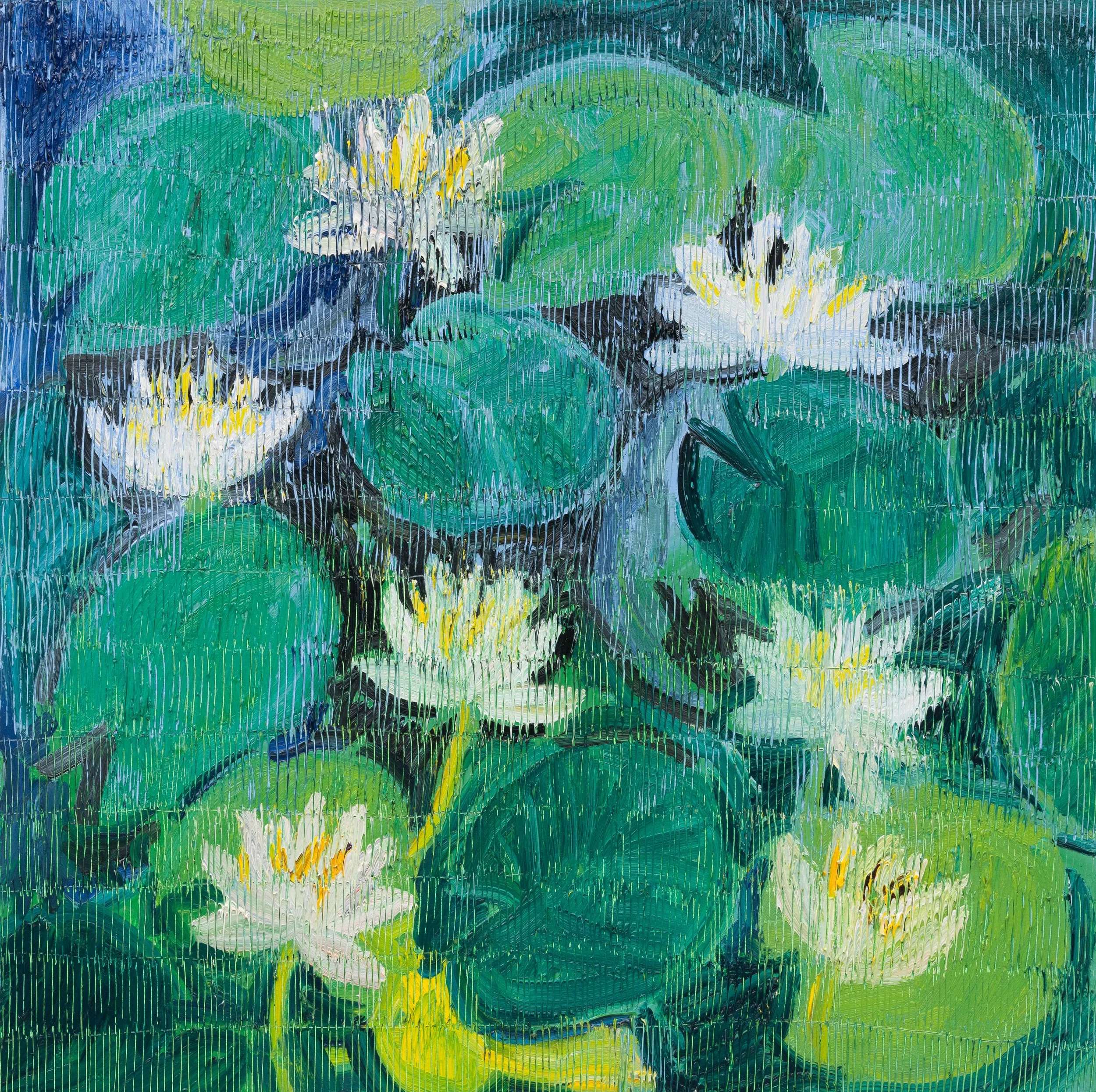 "White Water Lilly's" 2026, Oil on Canvas, 48 x 48 inches