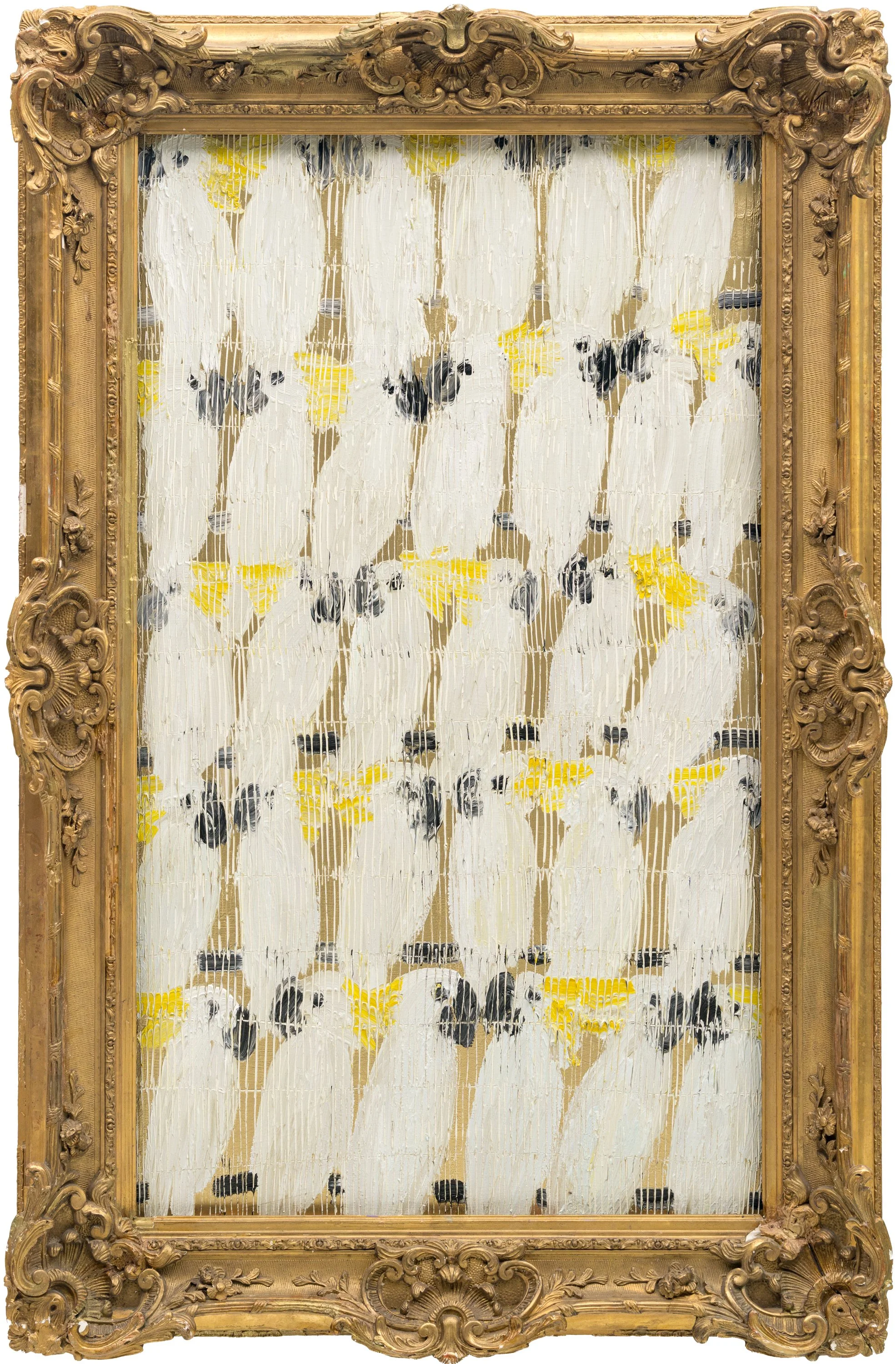 "Citron Cockatoos" 2026, Oil on Canvas, 48 x 28 inches