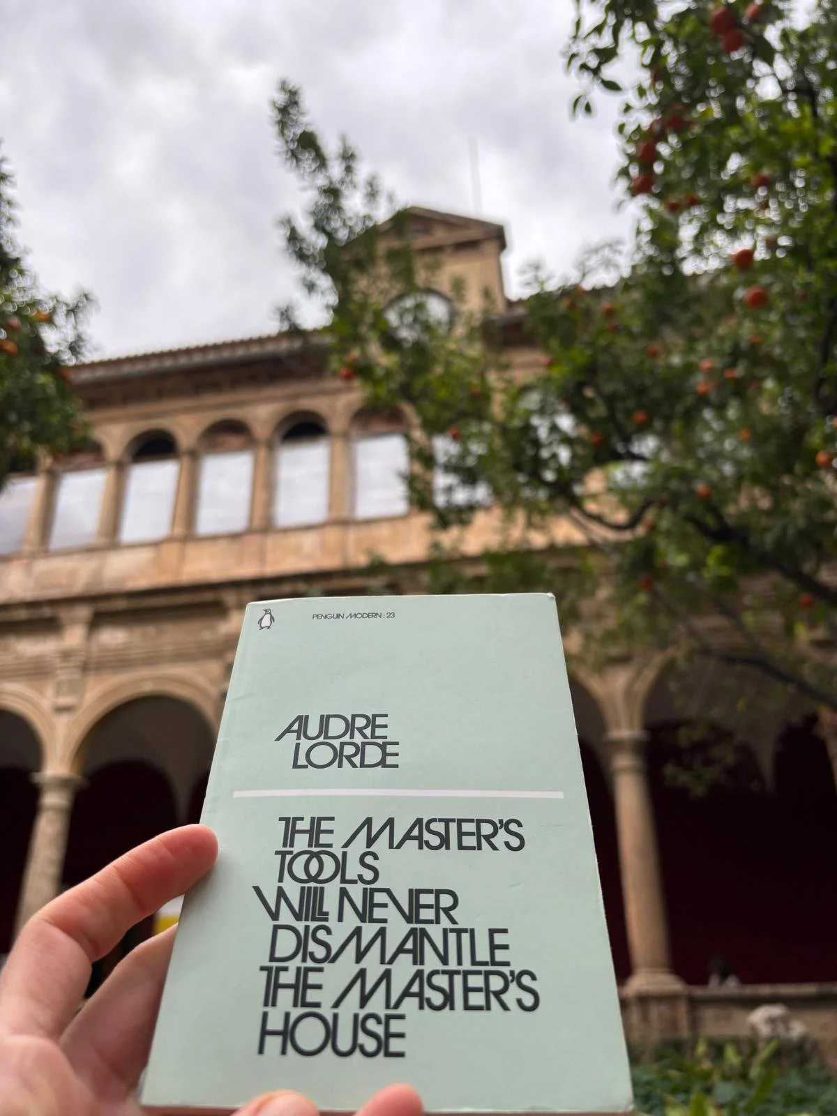 WhatsApp Image 2025-03-05 at 12.13.49.jpeg