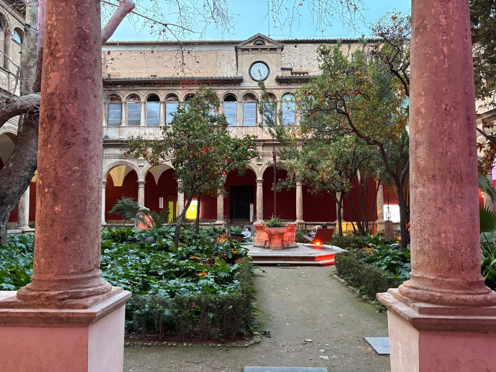 WhatsApp Image 2025-03-05 at 12.13.37.jpeg