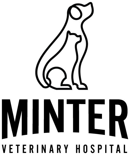 Contact Us — Minter Veterinary Hospital