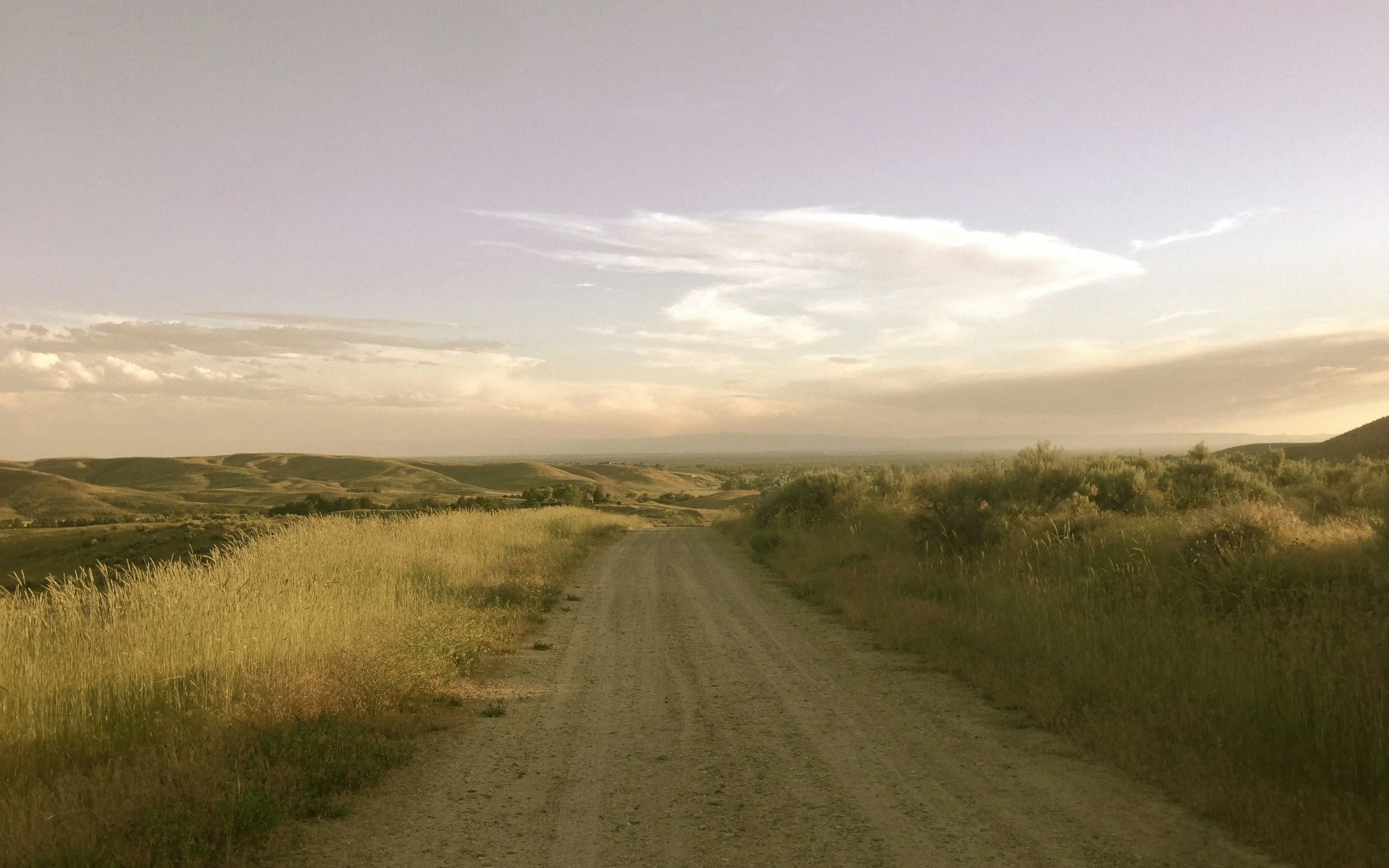 A dirt road running through rolling green hills with sparse trees and clouds in the sky.