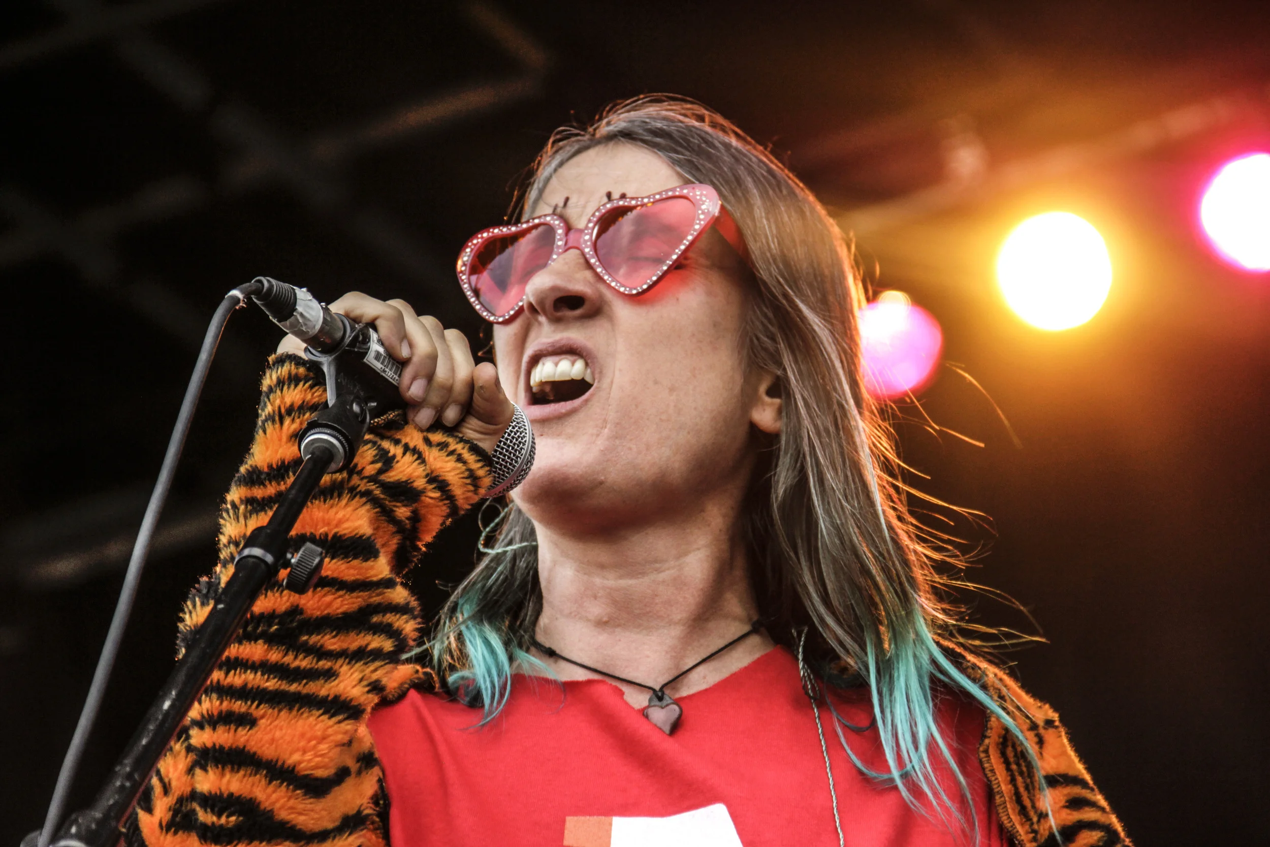  Aterciopelados @ Ruido Fest 2016 