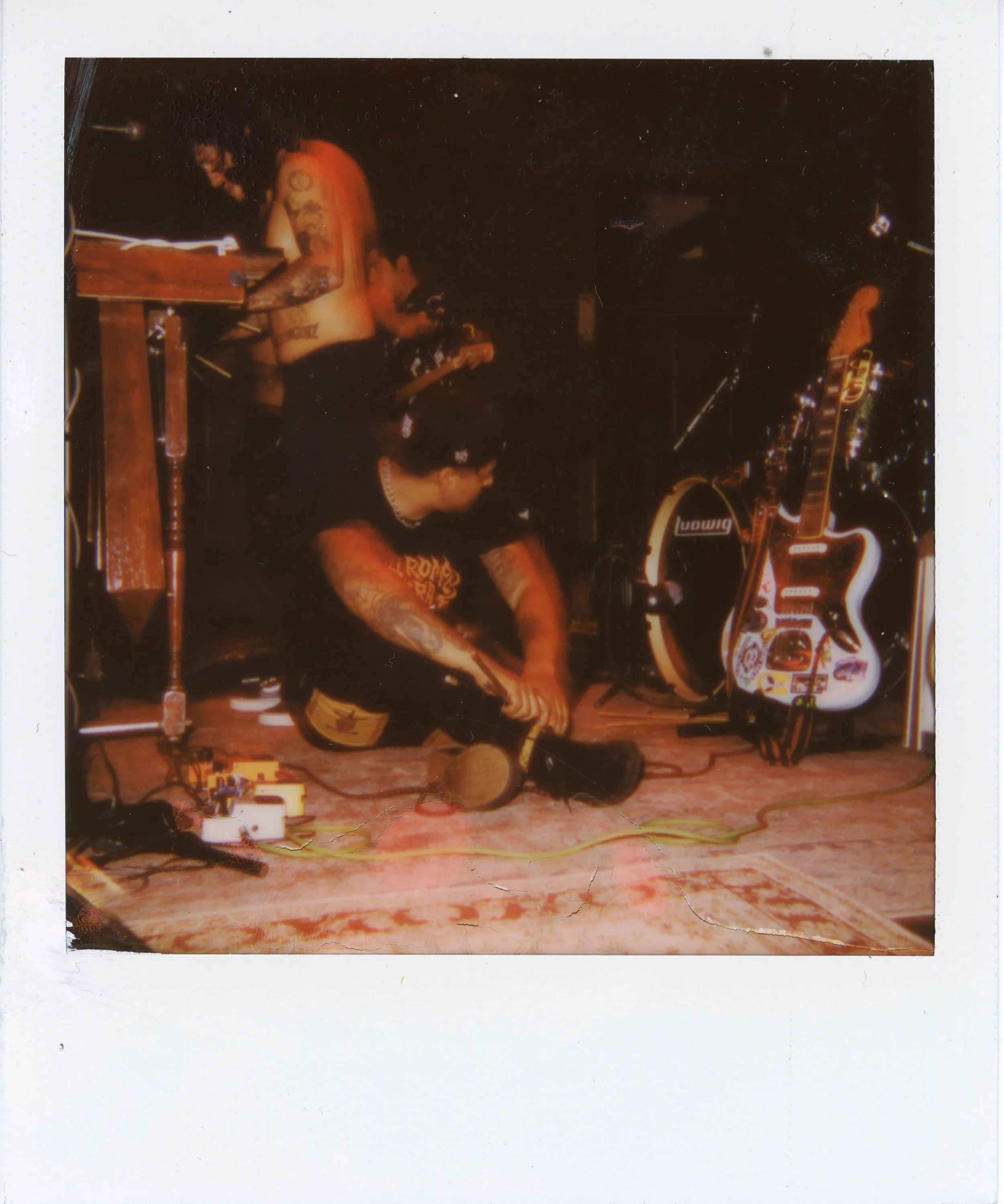 img310.jpg