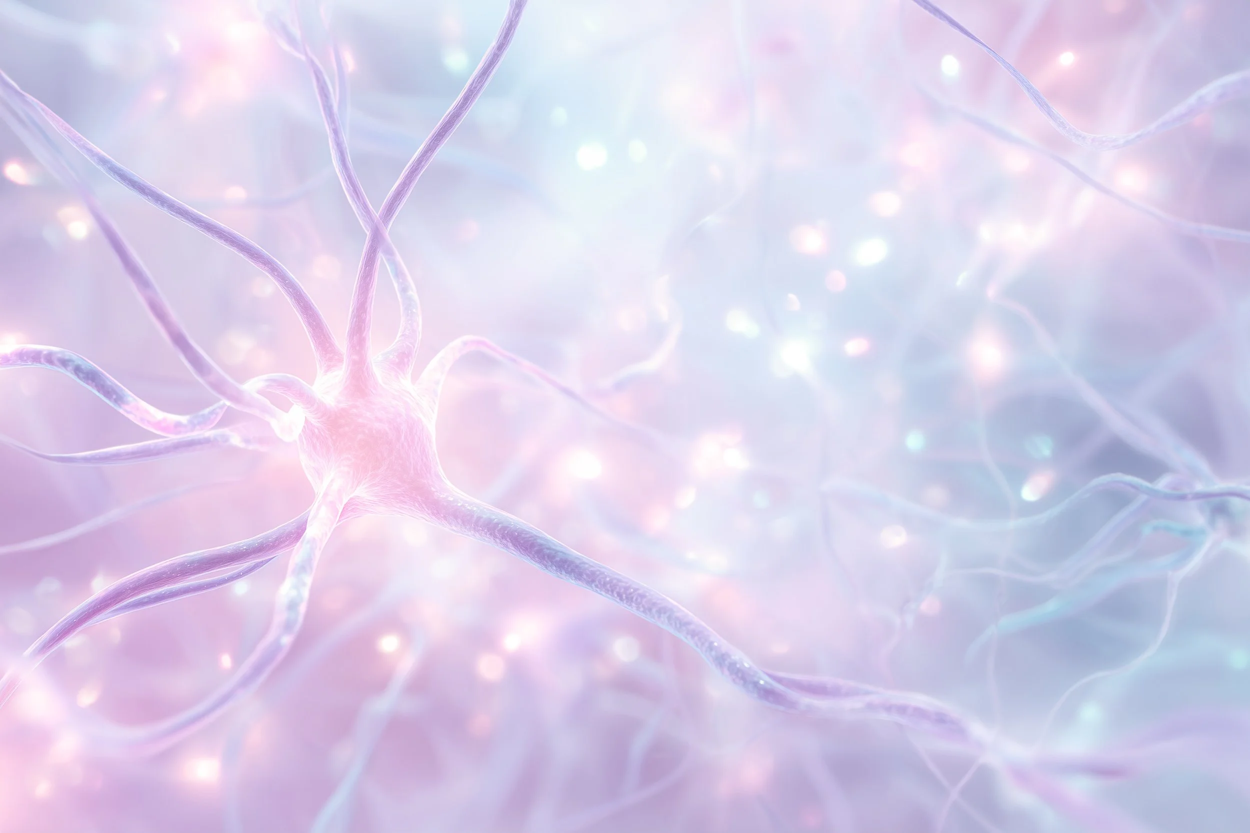 Archangel’s Heal Your Body Series- Central Nervous System