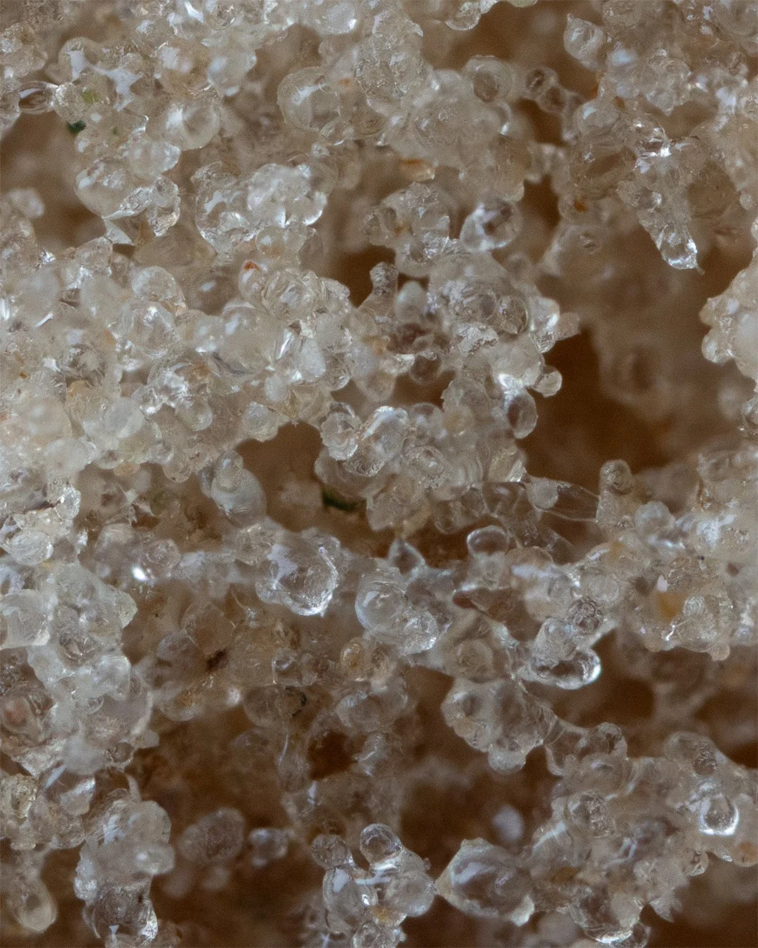 Live Bubble - Solventless Hash Sieved from Live, Fresh Frozen Cannabis