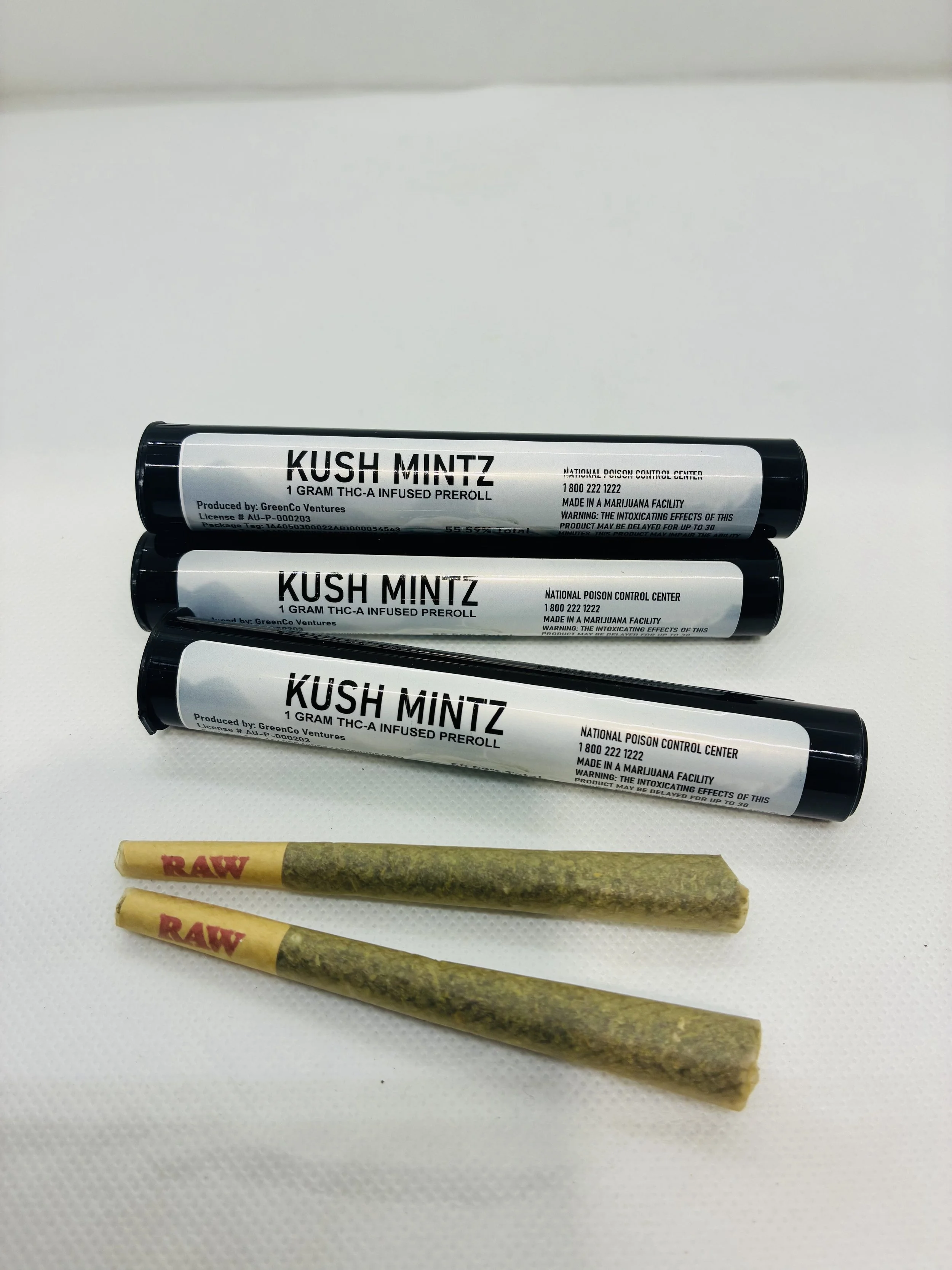 Kush Mintz.jpeg