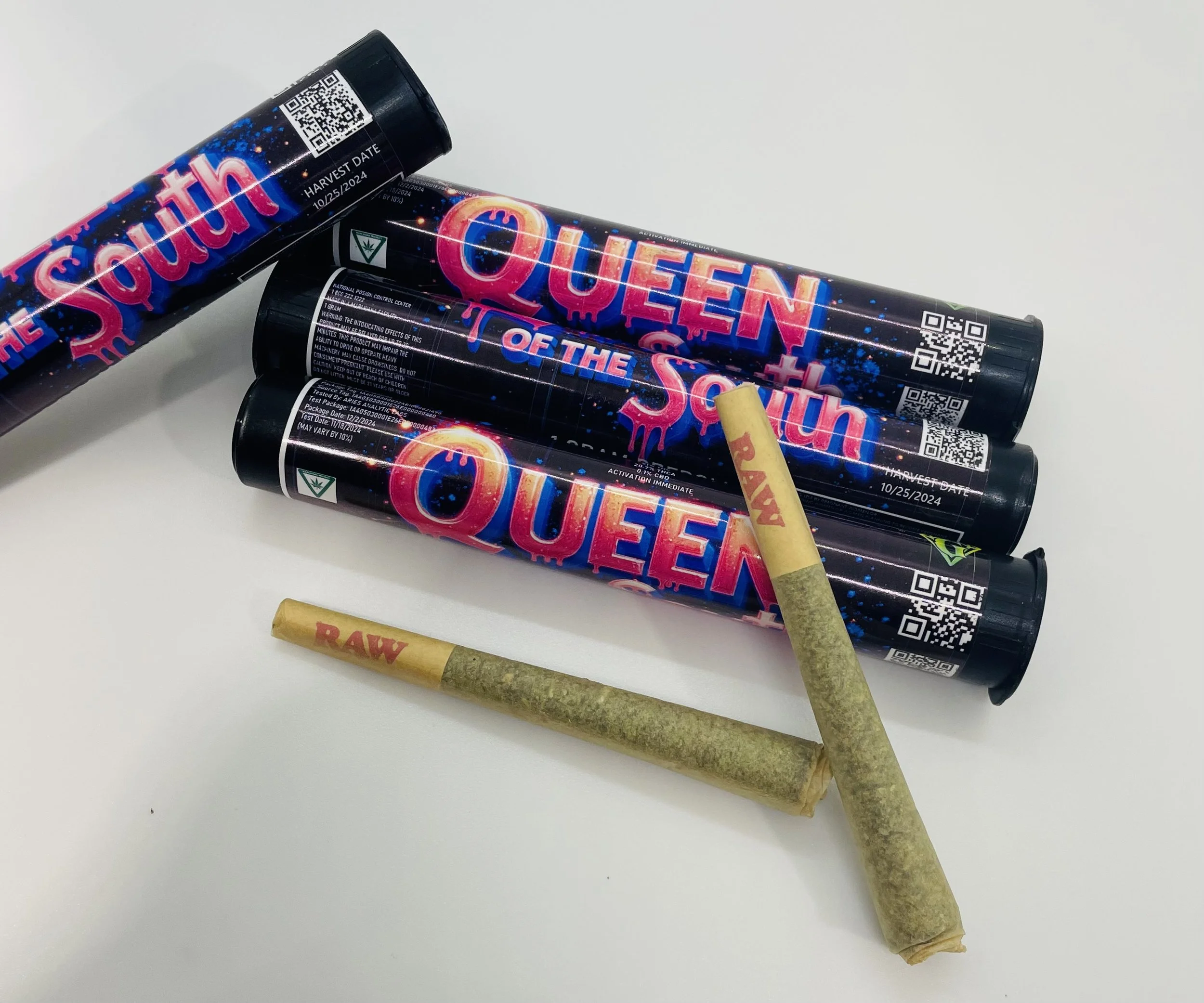 Queen of the South.jpg