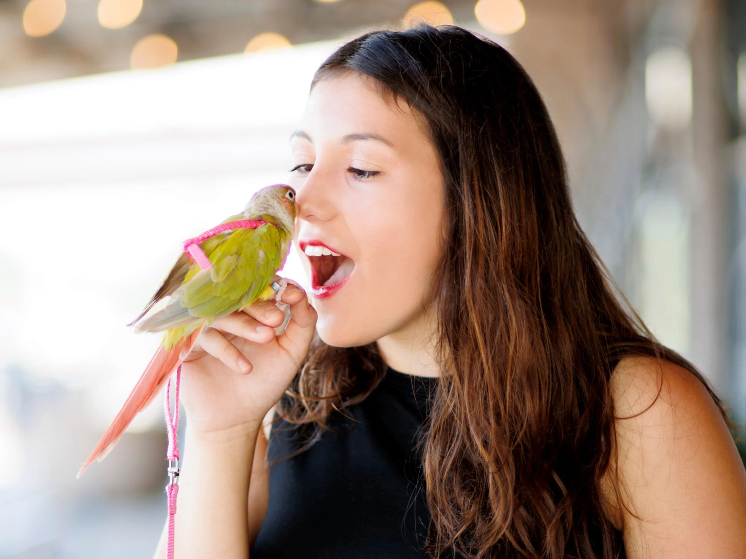 senior photo of a girl in downtown Omaha with her parakeet