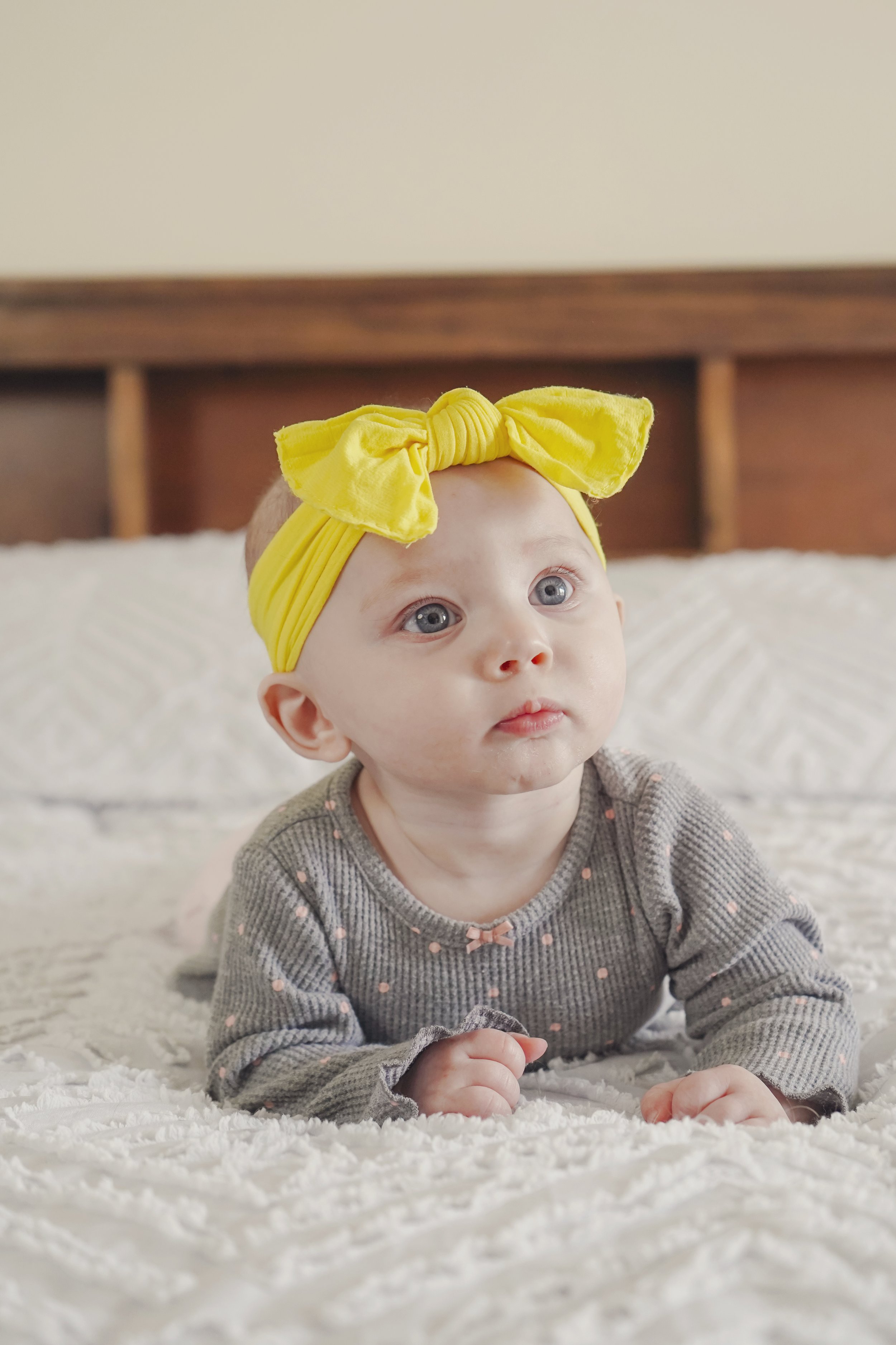 DSC00794.jpg