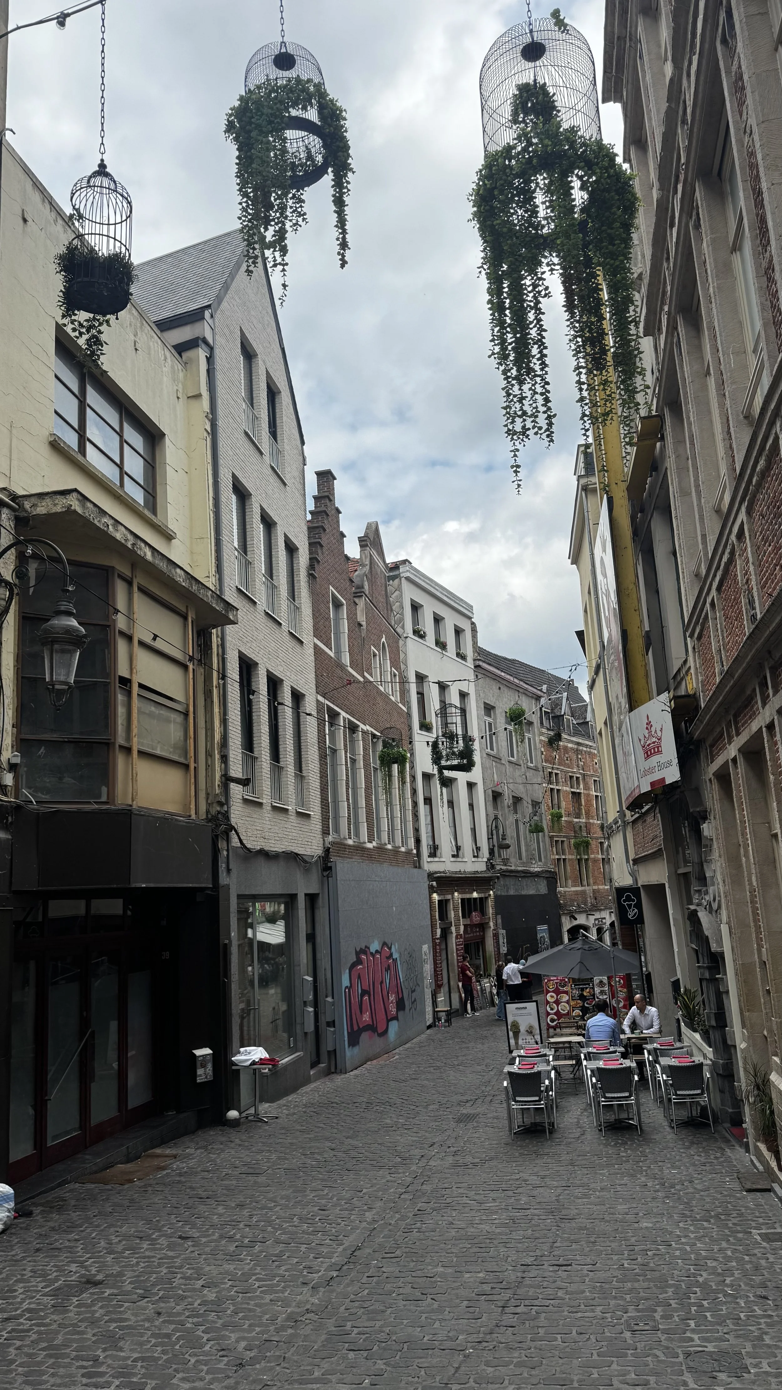 IMG_0034.jpeg