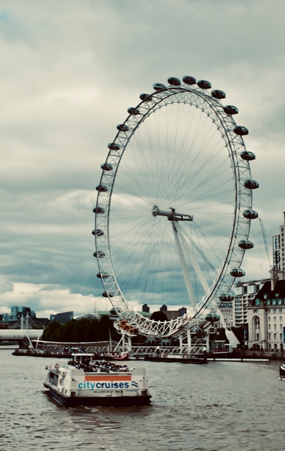 IMG_9919.jpeg