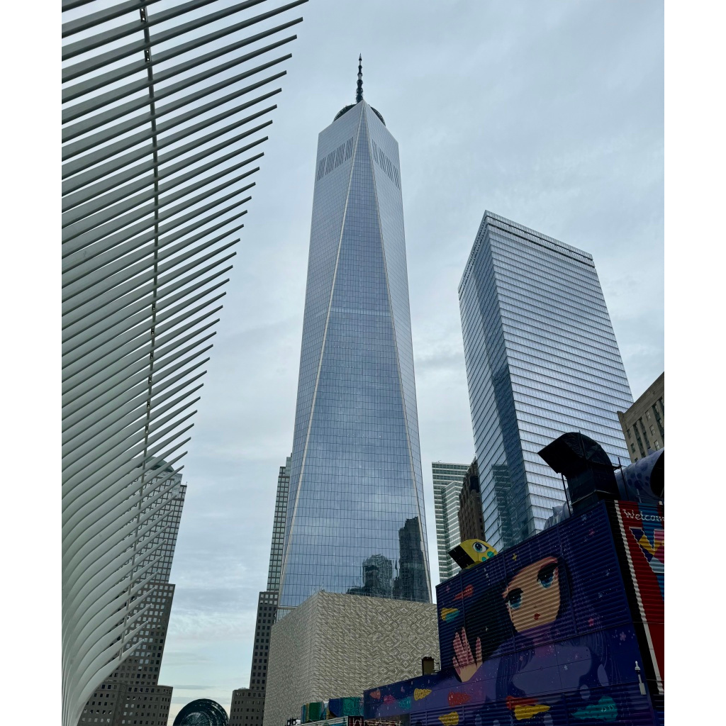 image_original_.png