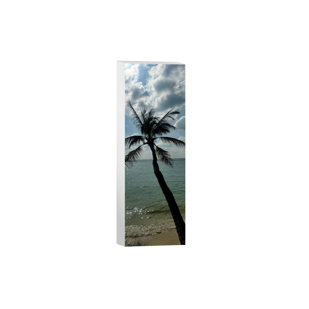 ptq_7_2_1190_0_1904_5712_0_false_ffffff_0_0_.png