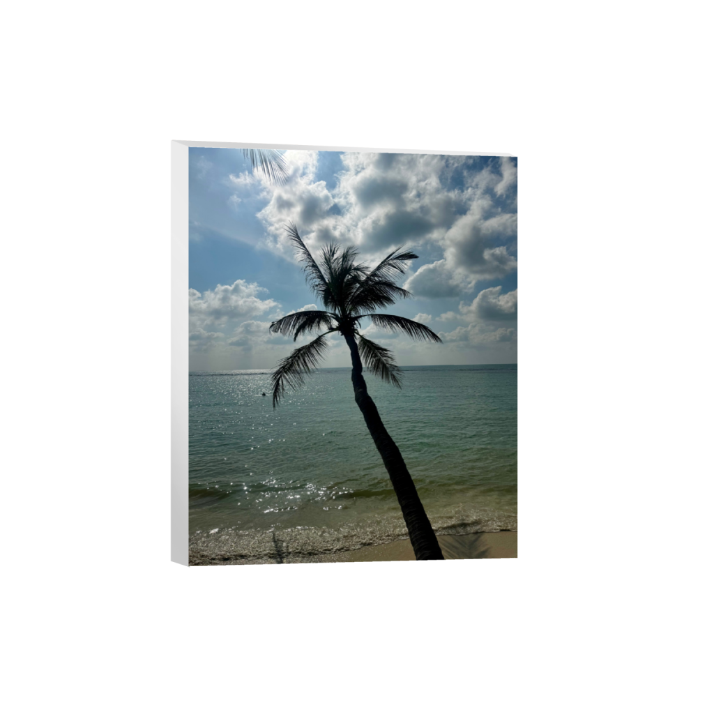 ptq_7_6_0_178_4284_5355_0_false_ffffff_0_0_.png