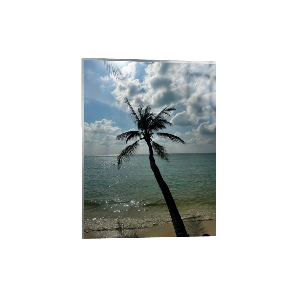 ptq_13_5_0_0_4284_5712_0_false_ffffff_0_0_.png