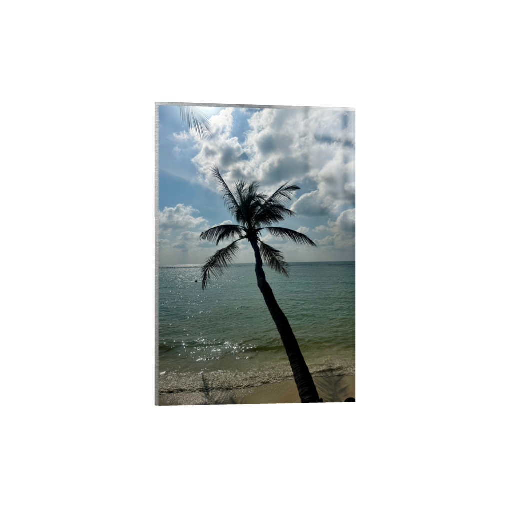ptq_13_3_238_0_3808_5712_0_false_ffffff_0_0_.png