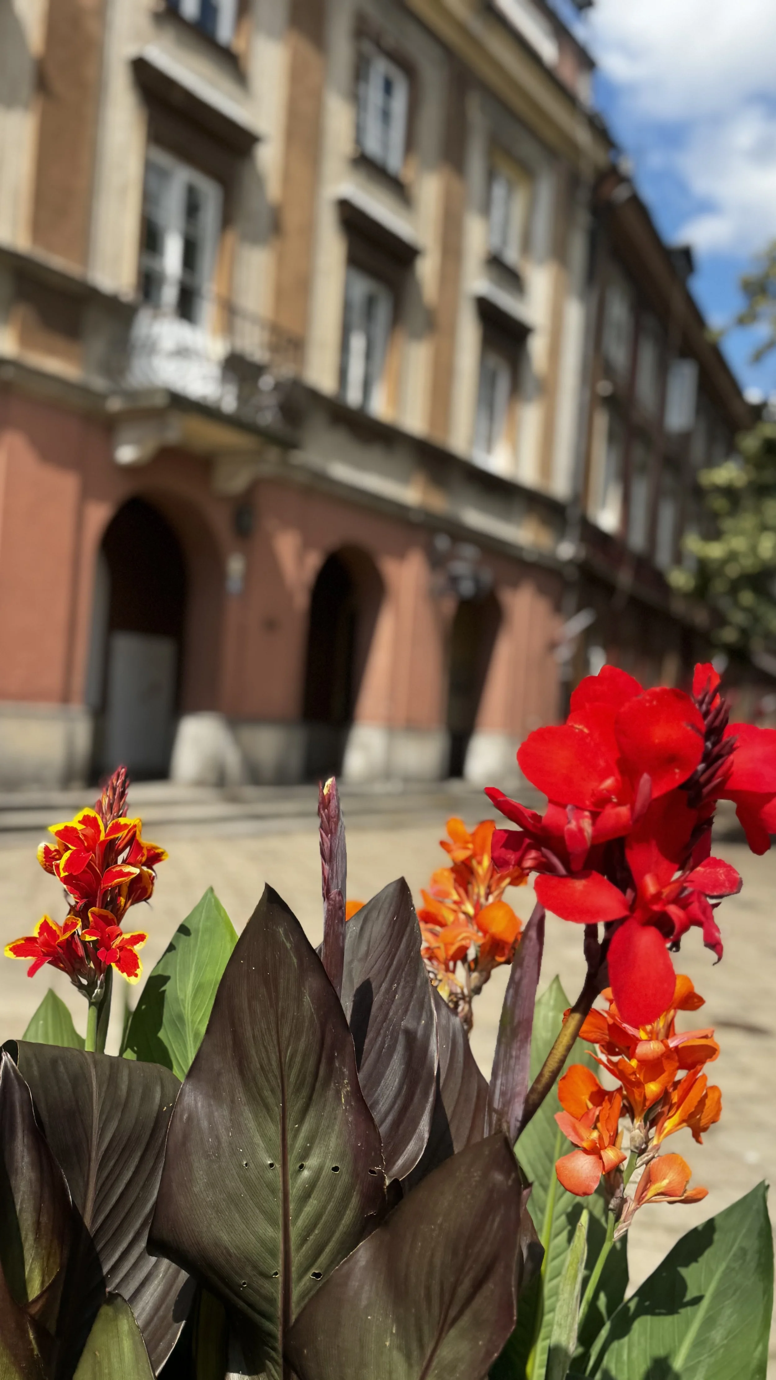 IMG_0605.jpeg