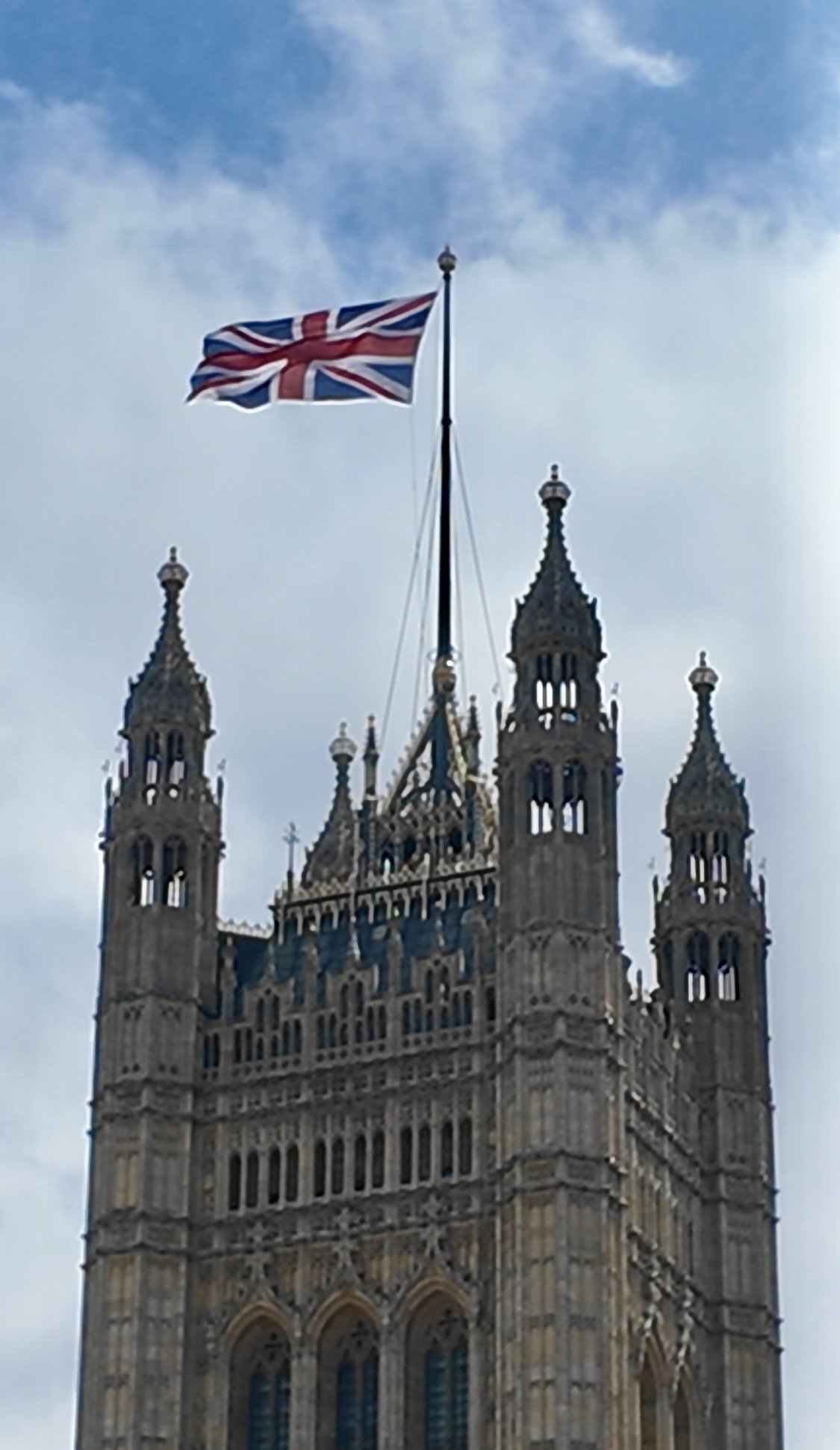 IMG_9920.jpeg