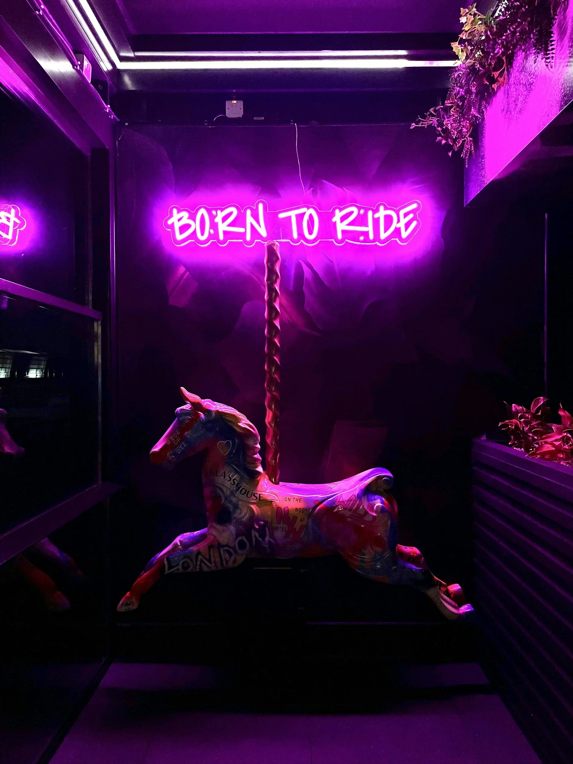 A carousel horse stands alone on its pole. Pink neon lights the space. The neon reads, "Born To Ride"