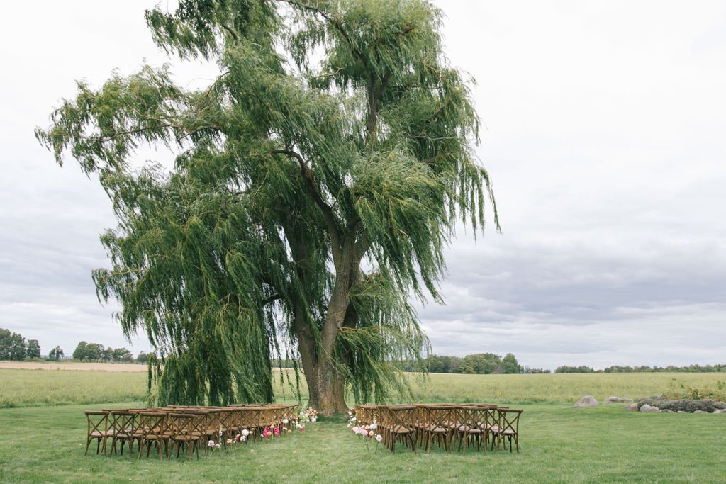 melissatwistevents_creemorewedding_privatepropertyweddingcremore 29.jpg