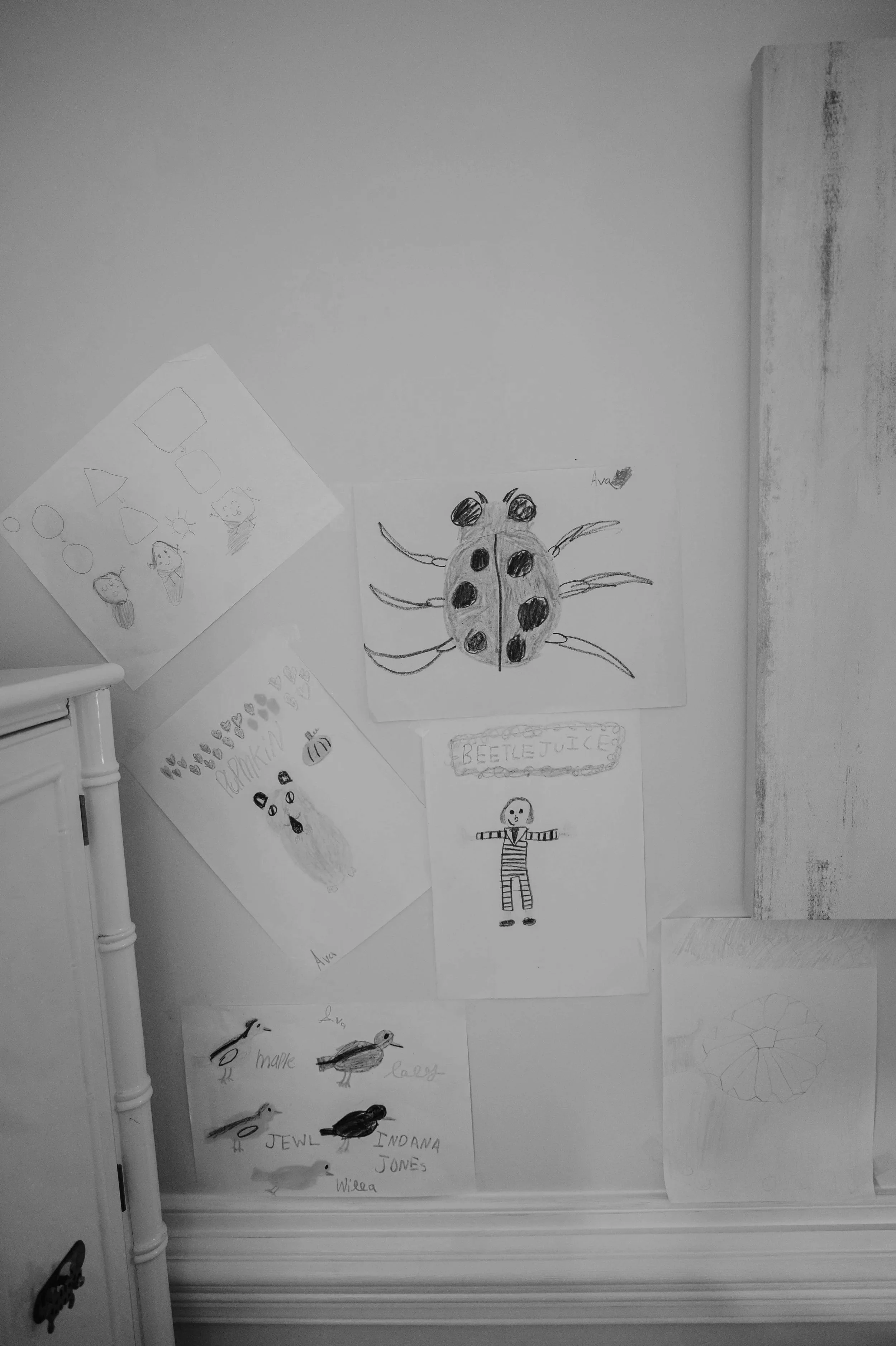 Collection of children's drawings on a wall, including a ladybug, a caterpillar, and various other doodles, with some names written on or near the art.