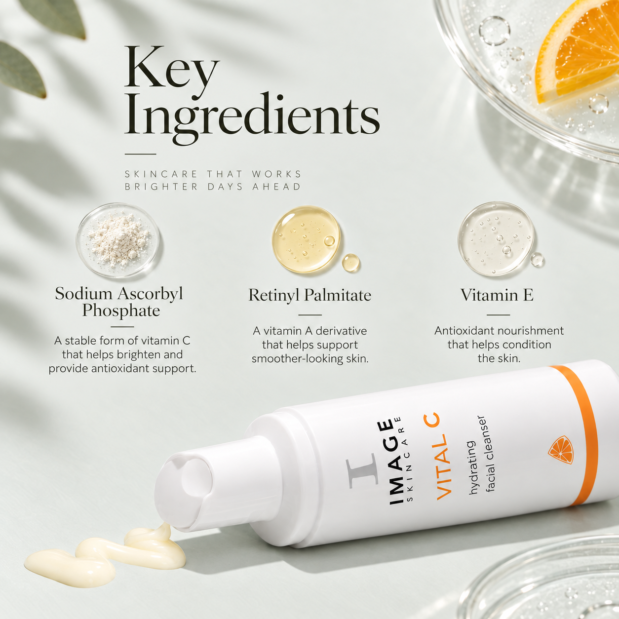 vitamin c key ingreidents.PNG