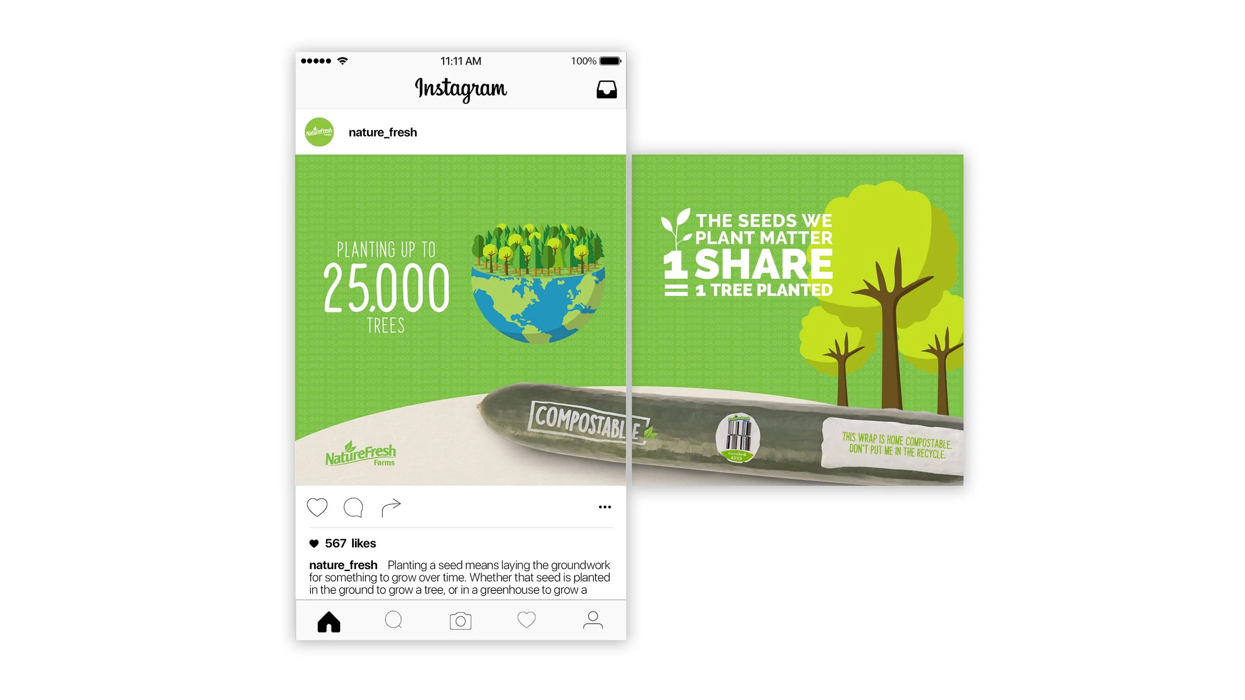 NFF-October-13-Social-Media-Graphics-Trees-Planted-Mock-Up.jpg