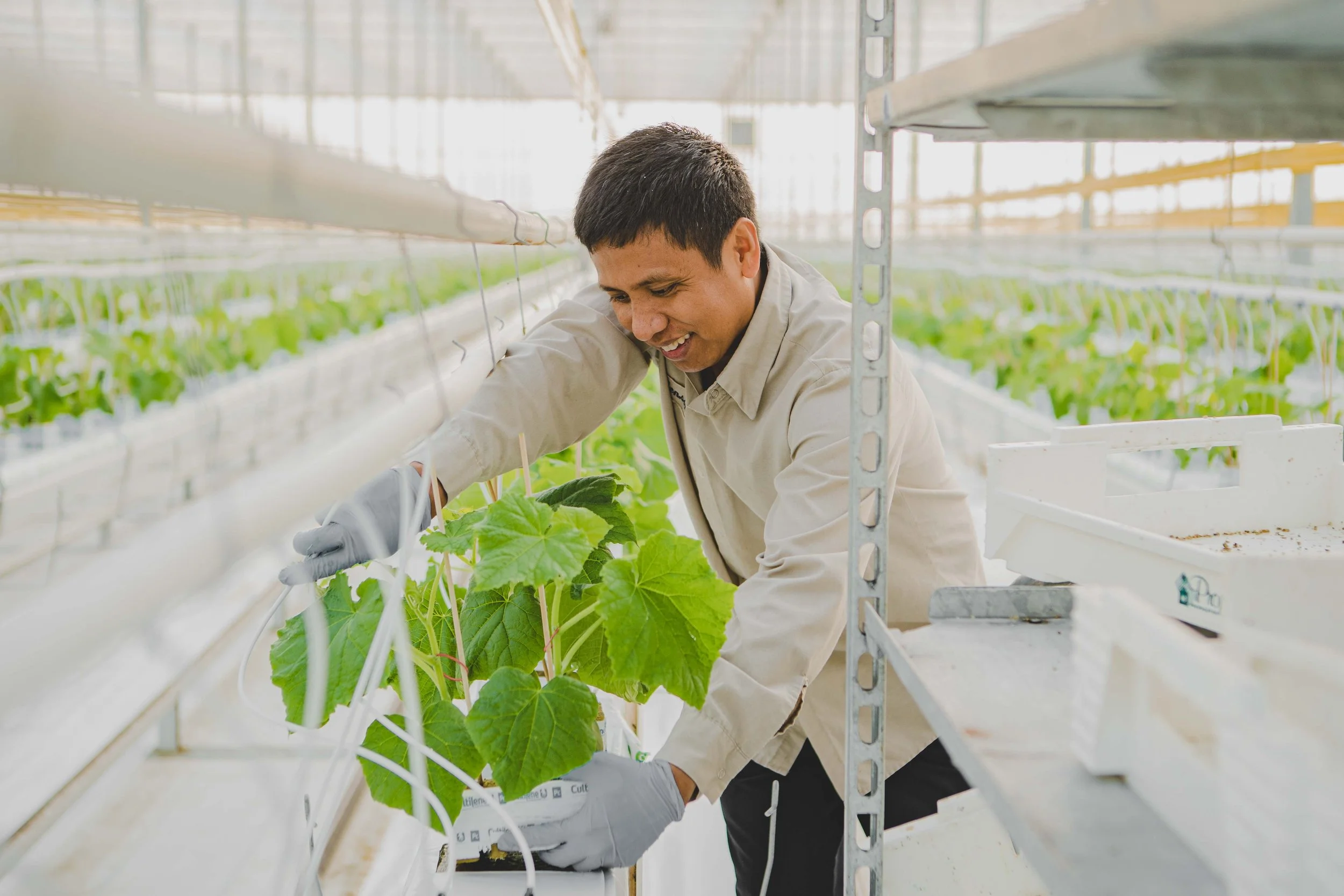 NFF-Vine Fresh - 06.jpg