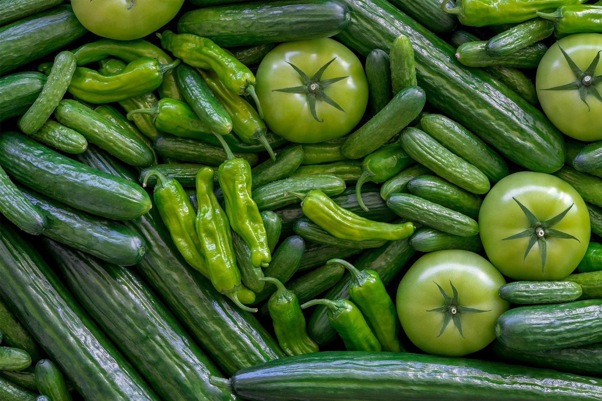 NFF-St Patricks Day Photo-origianl.jpg