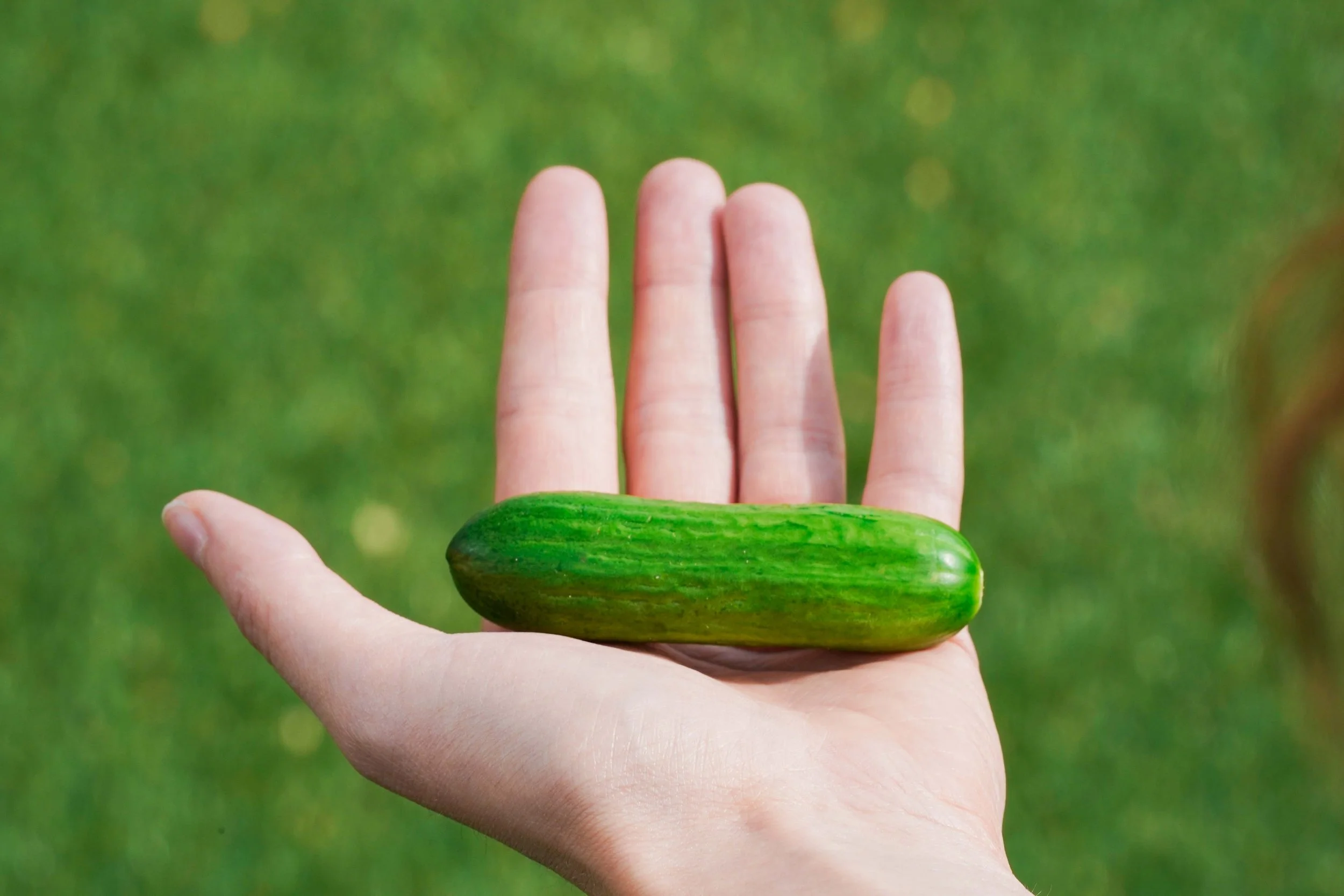 NFF-Cocktail_Cucumber_in_Hand-10.jpg