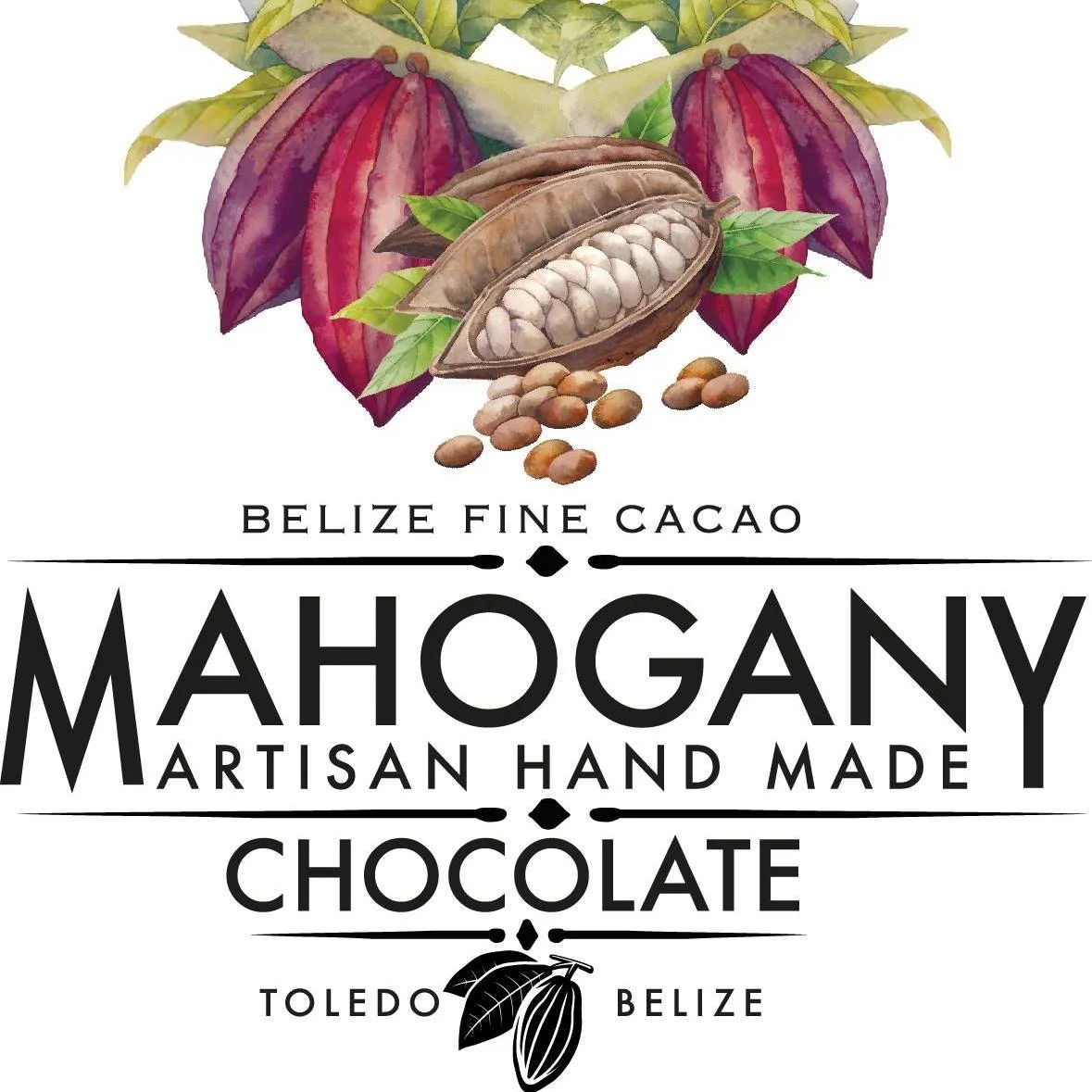 Chocolate Logo_1.jpg