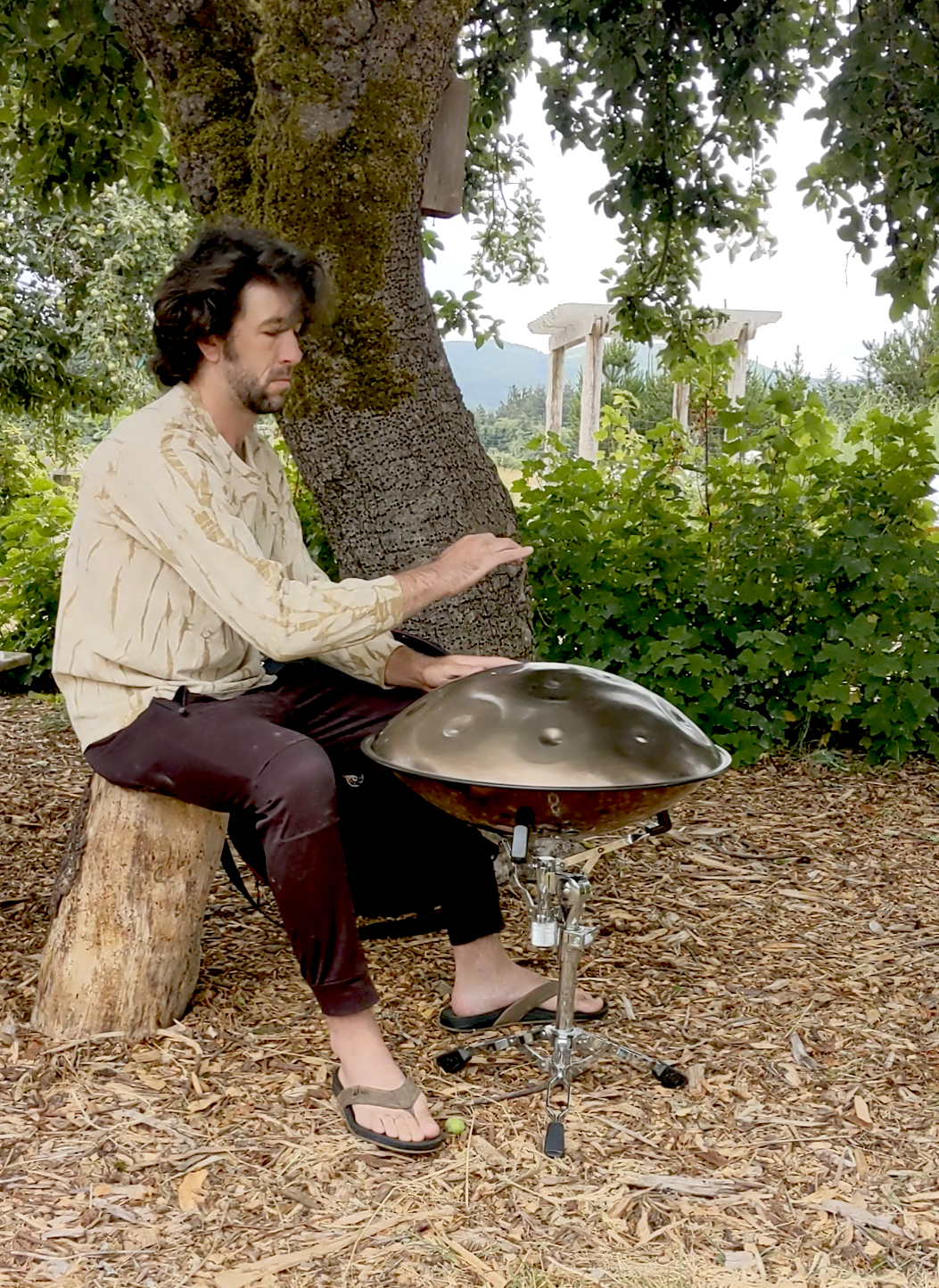 Jesse Hand Pan.png