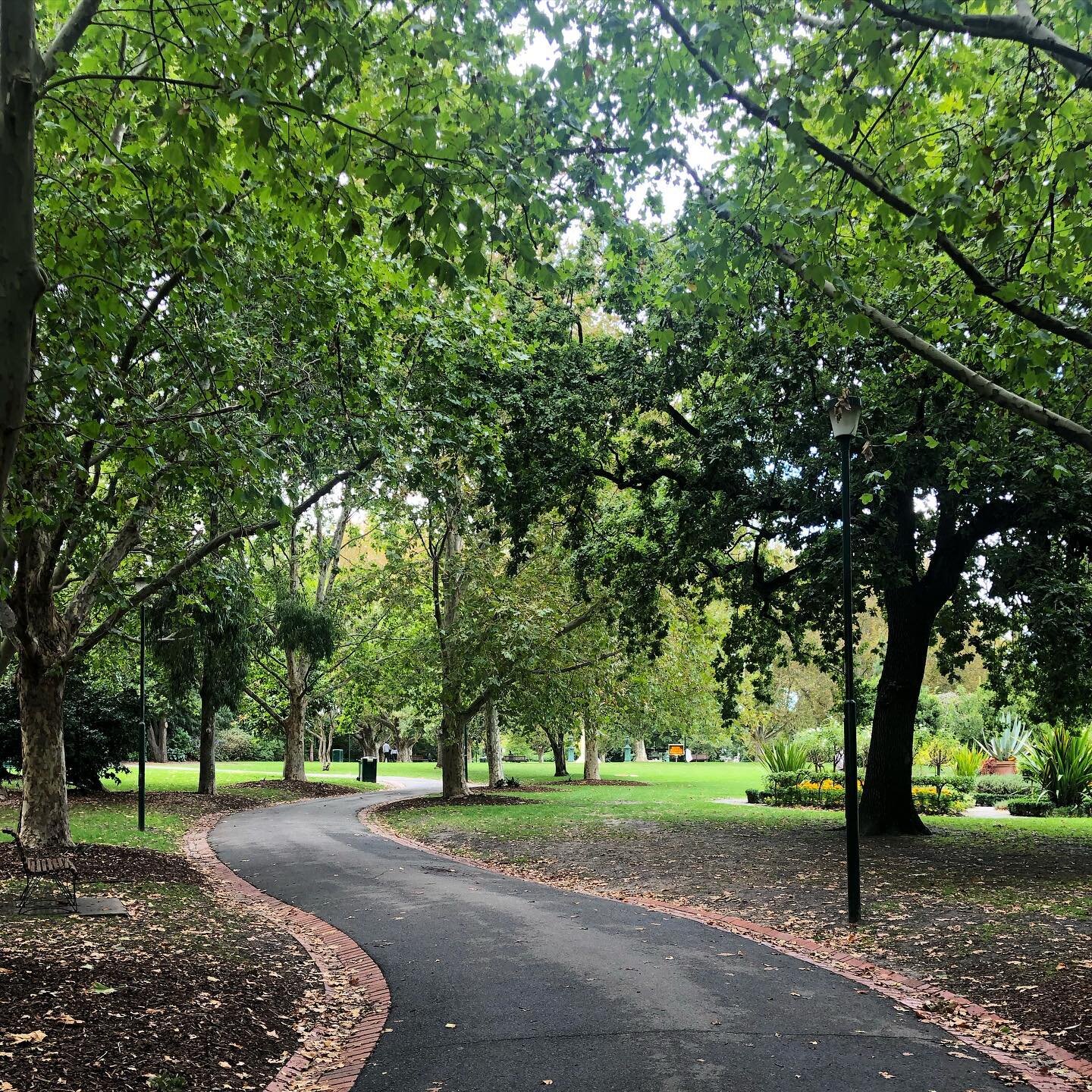 Getting in my daily nature time on the way back from the post office.
.
The current lockdown is likely impacting your capacity to engage with nature, particularly if you live in an apartment. Spending time in nature has a range of health benefits:
- 
