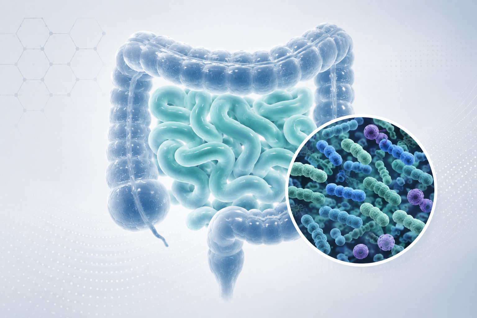 Why SIBO Keeps Coming Back: Understanding Recurrence and the Underlying Causes