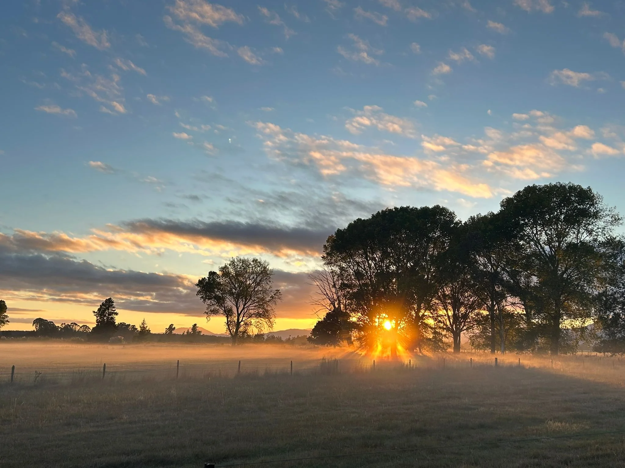 Into The Stillness With Reverence