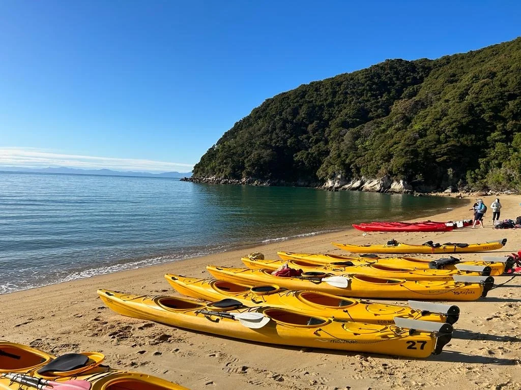 Abel Tasman boats lined up.JPG