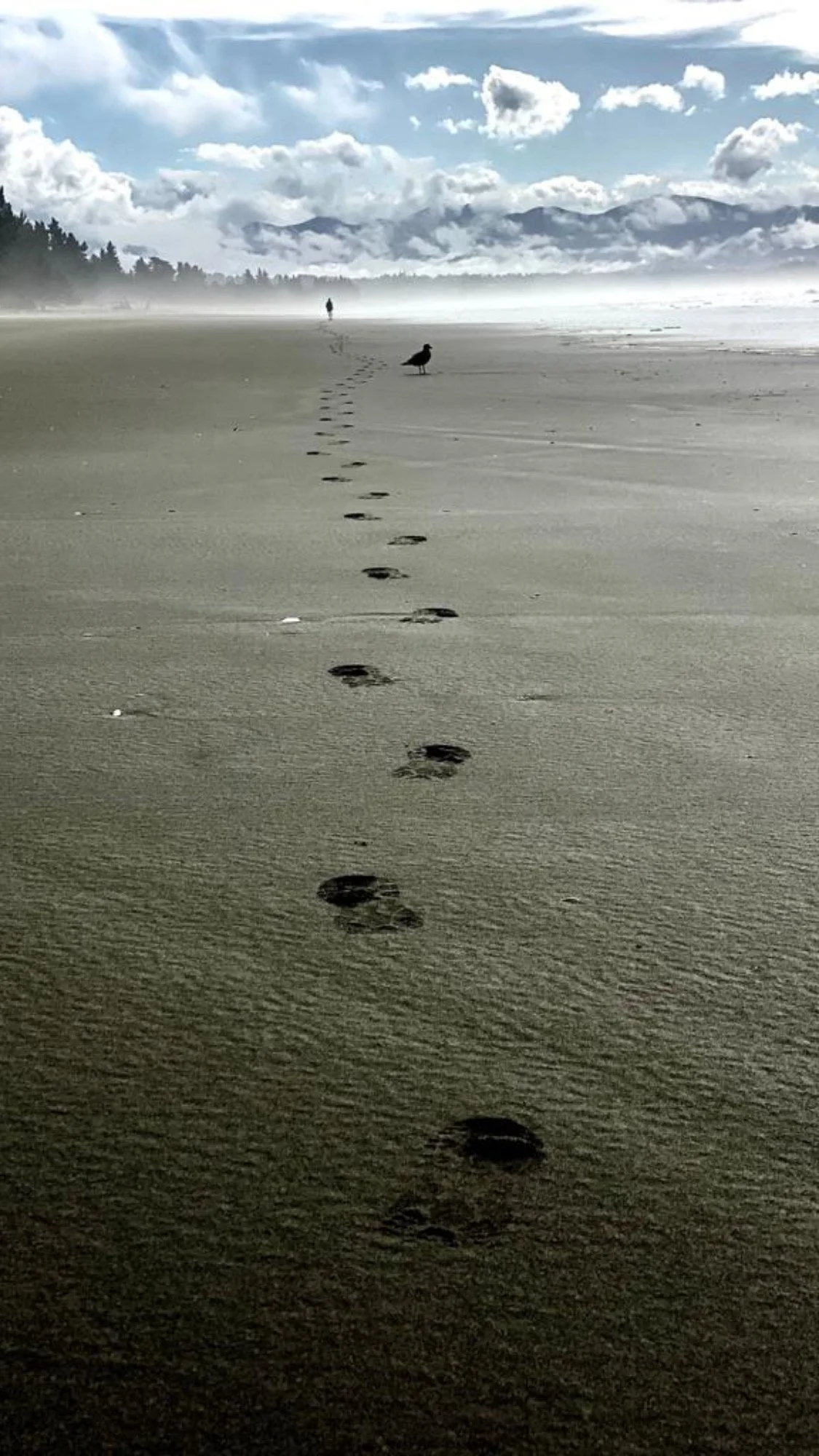 Footprints in the sand.JPG