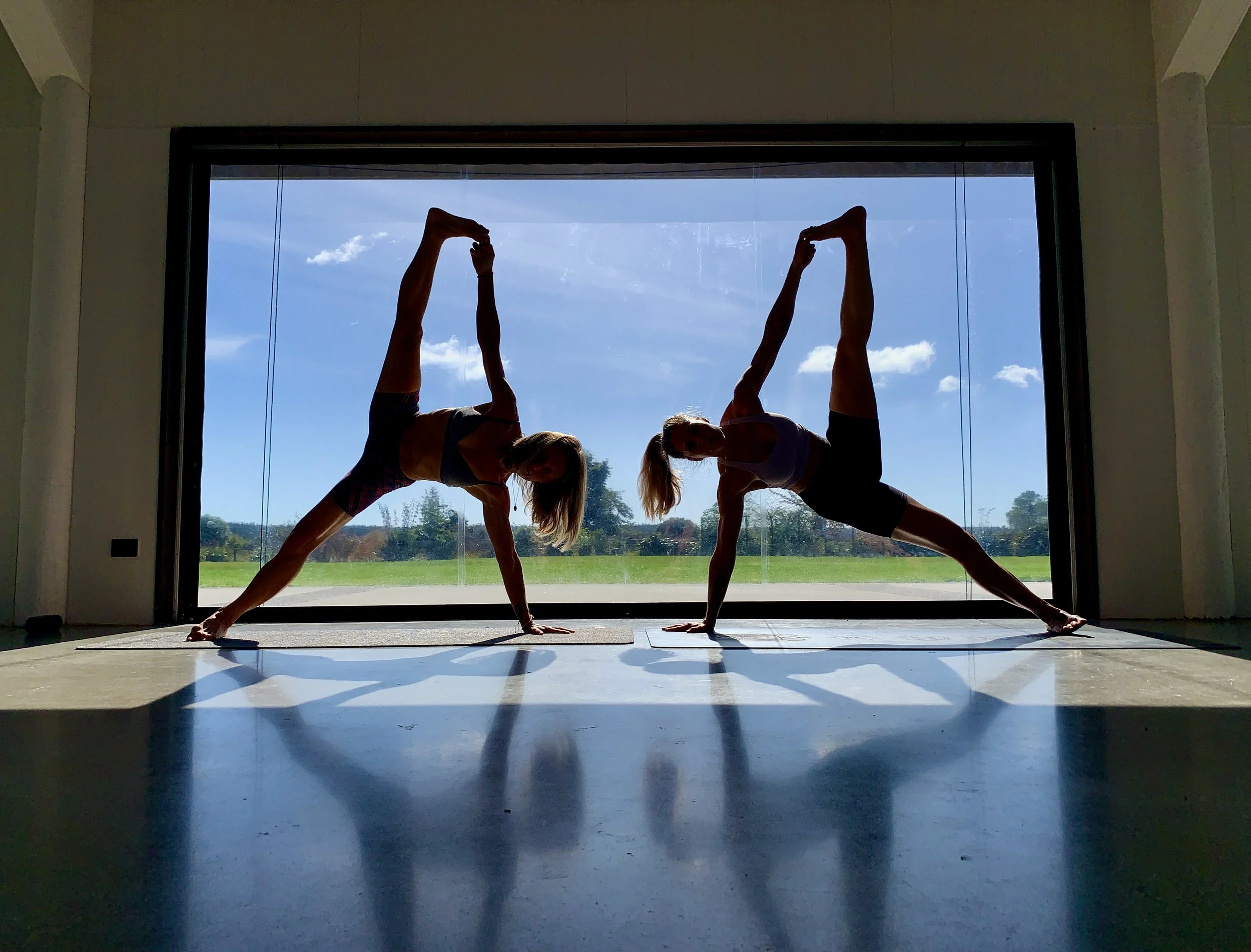Lisa and I sideplank.jpg