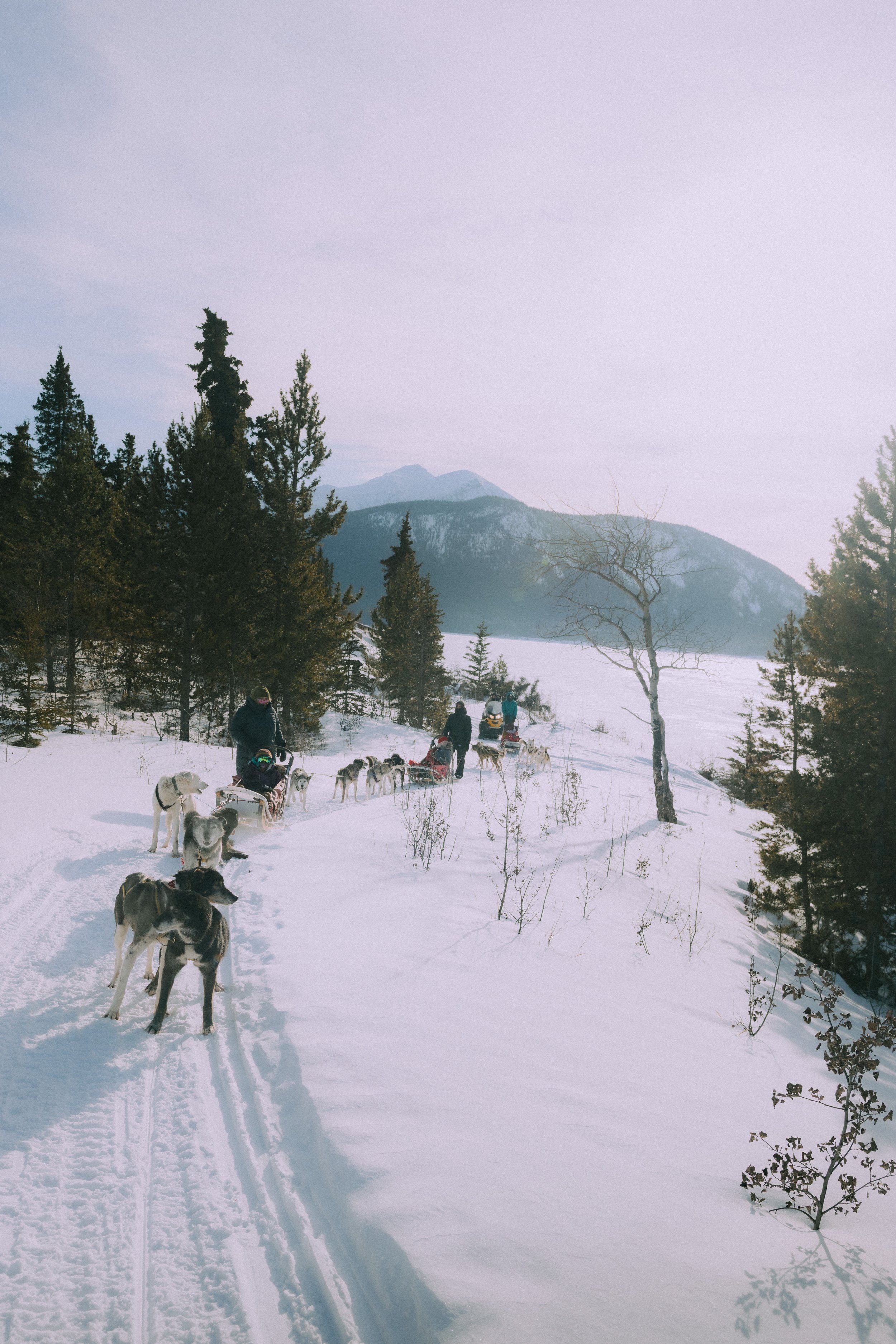 ListerD_20260218_7569.jpg